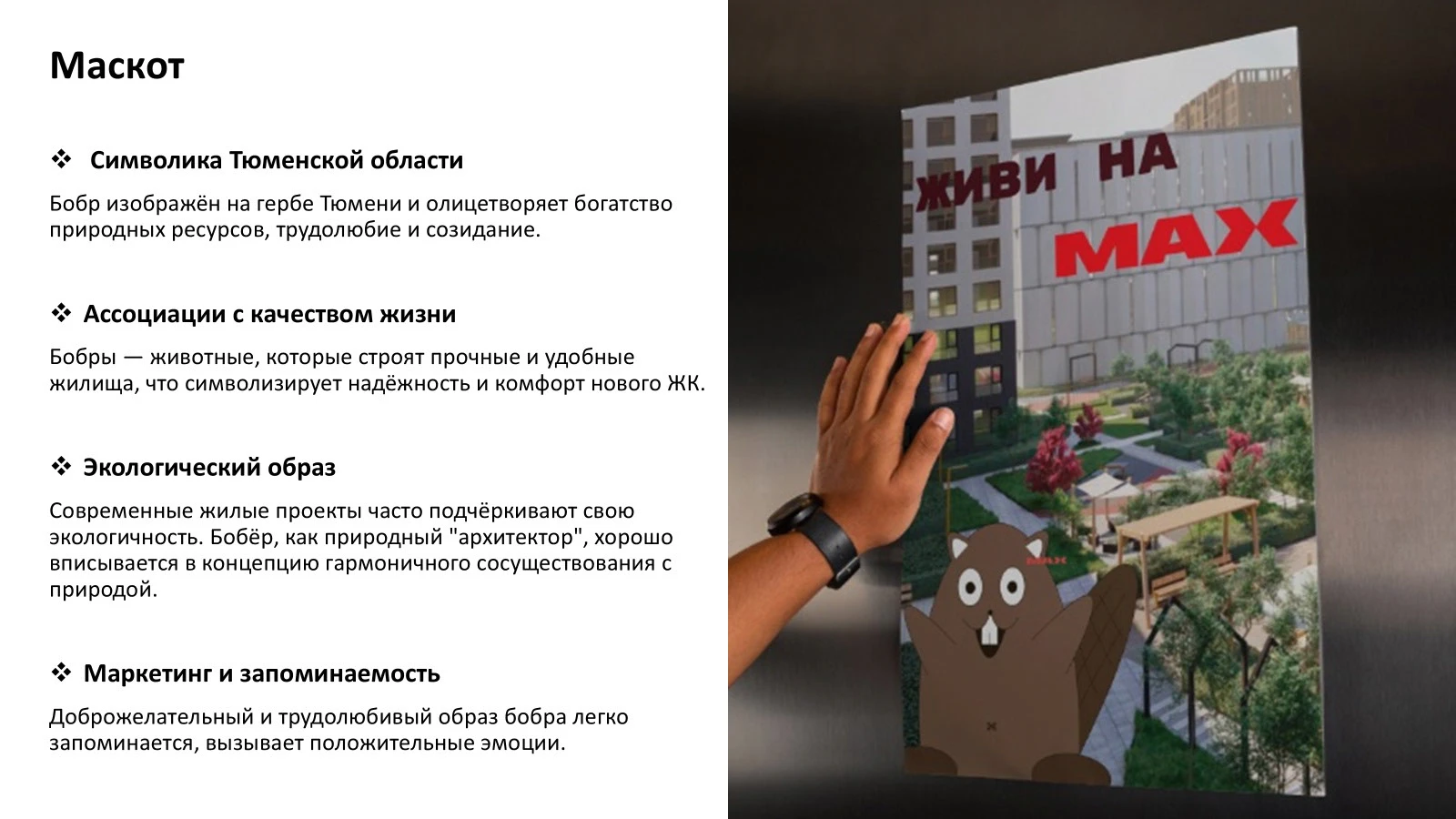 Креатив на МАХ — Изображение №9 — Брендинг, Иллюстрация на Dprofile