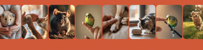 Логотип, фирменный стиль, айдентика — Изображение №10 — Брендинг, Графика на Dprofile