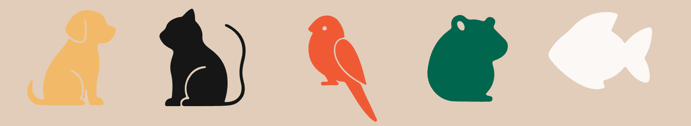 Логотип, фирменный стиль, айдентика — Изображение №12 — Брендинг, Графика на Dprofile