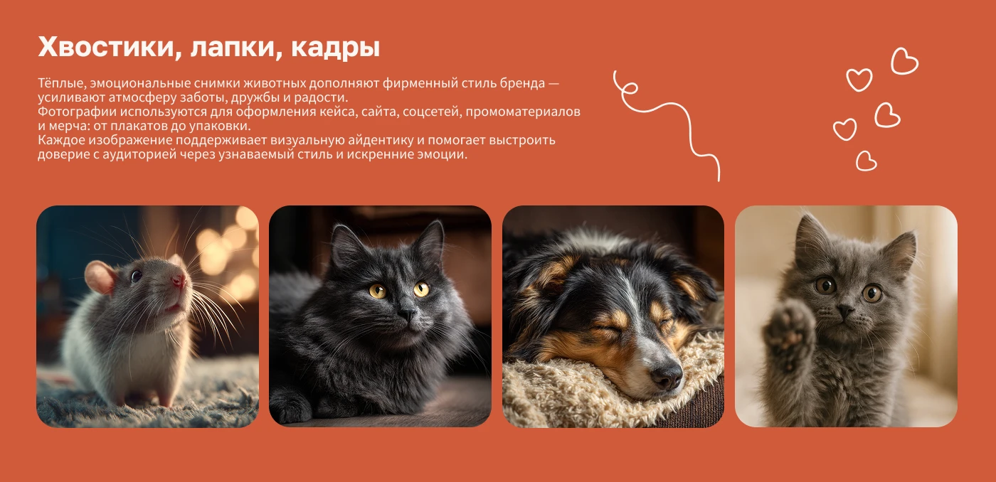 Логотип, фирменный стиль, айдентика — Изображение №9 — Брендинг, Графика на Dprofile