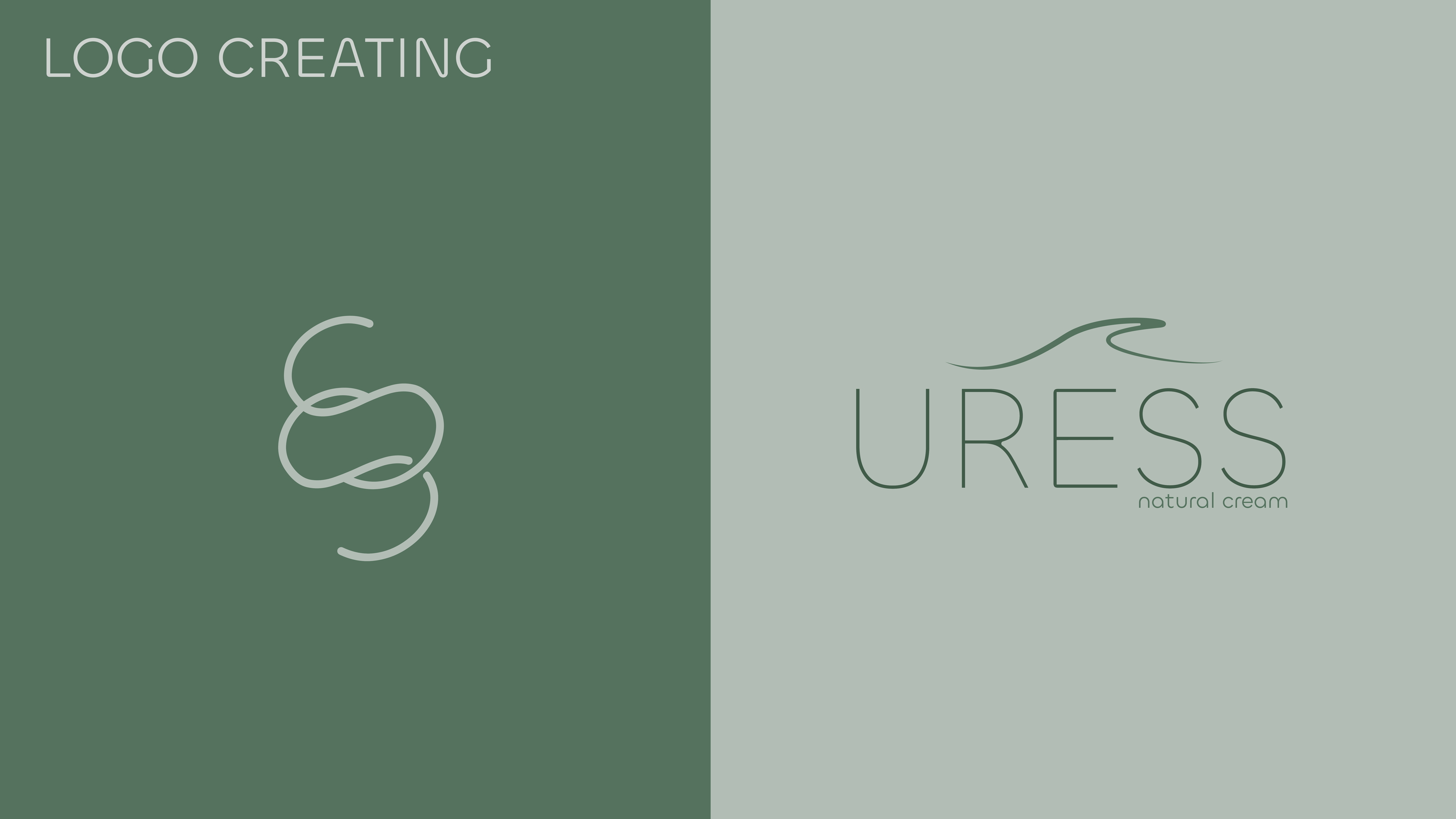 Логотип / Фирменный стиль / Уходовая косметика — Изображение №4 — Брендинг на Dprofile