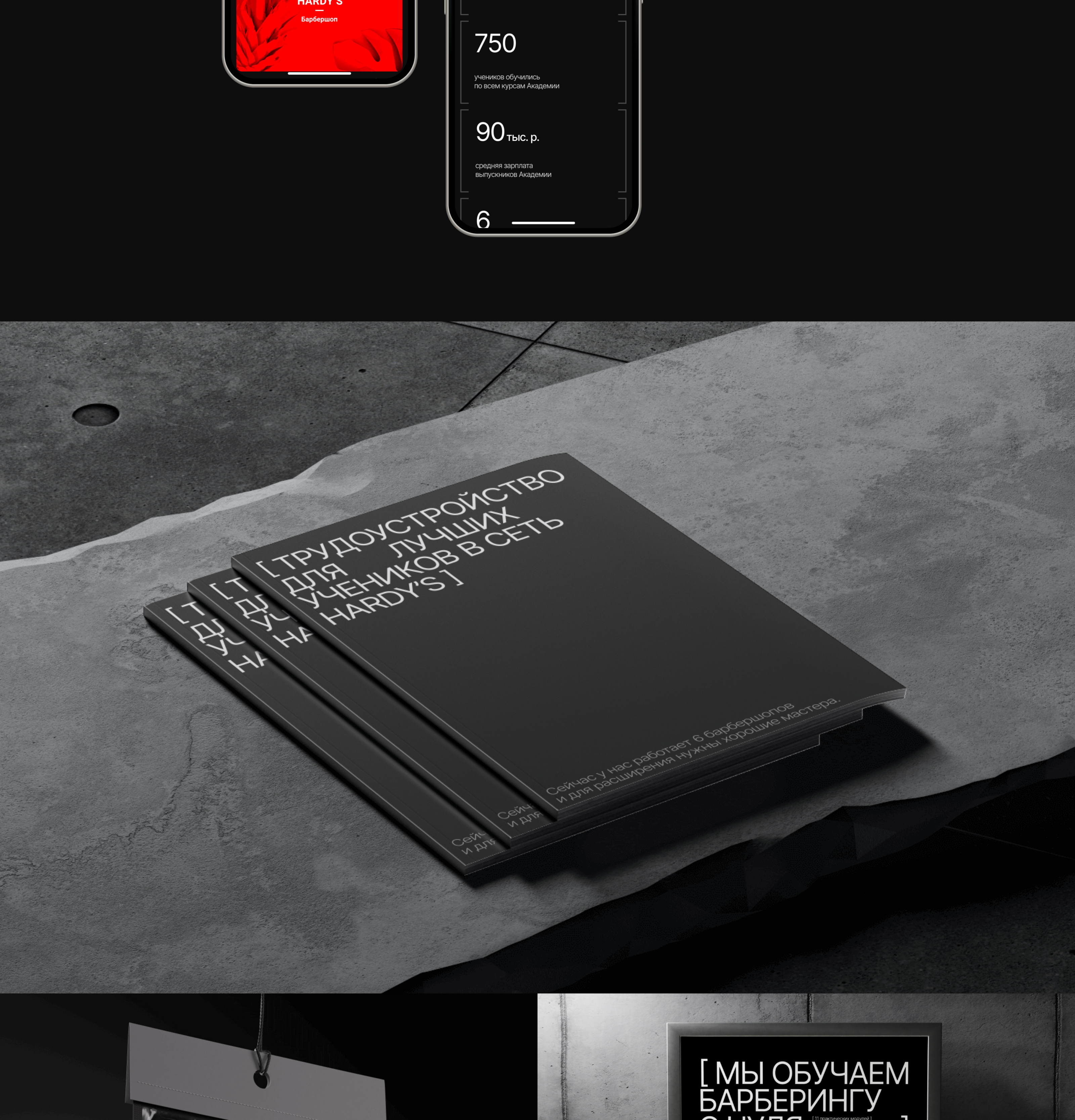 Redesign for Hardy's Academy — Изображение №4 — Интерфейсы, Брендинг на Dprofile