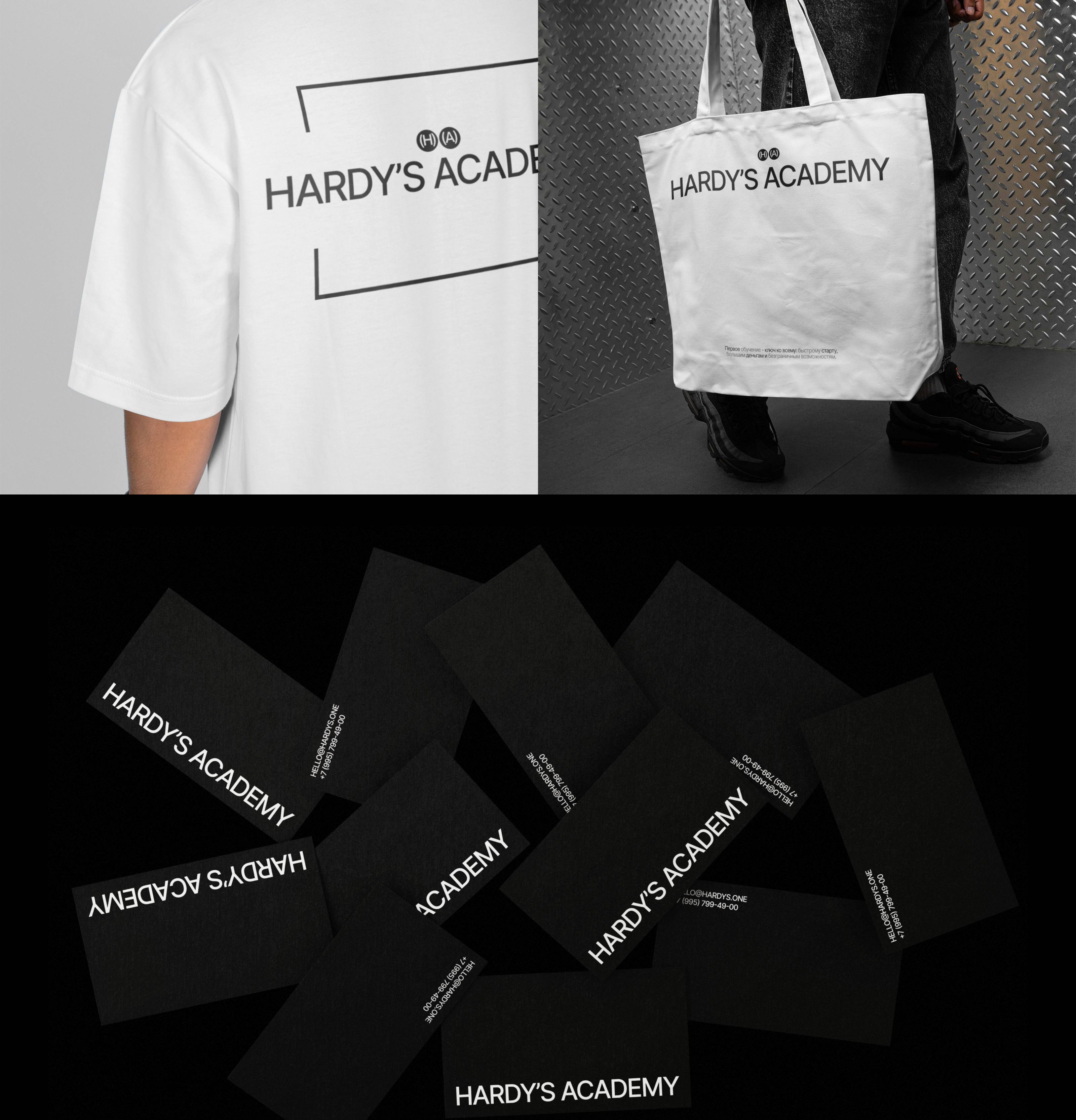 Redesign for Hardy's Academy — Изображение №9 — Интерфейсы, Брендинг на Dprofile