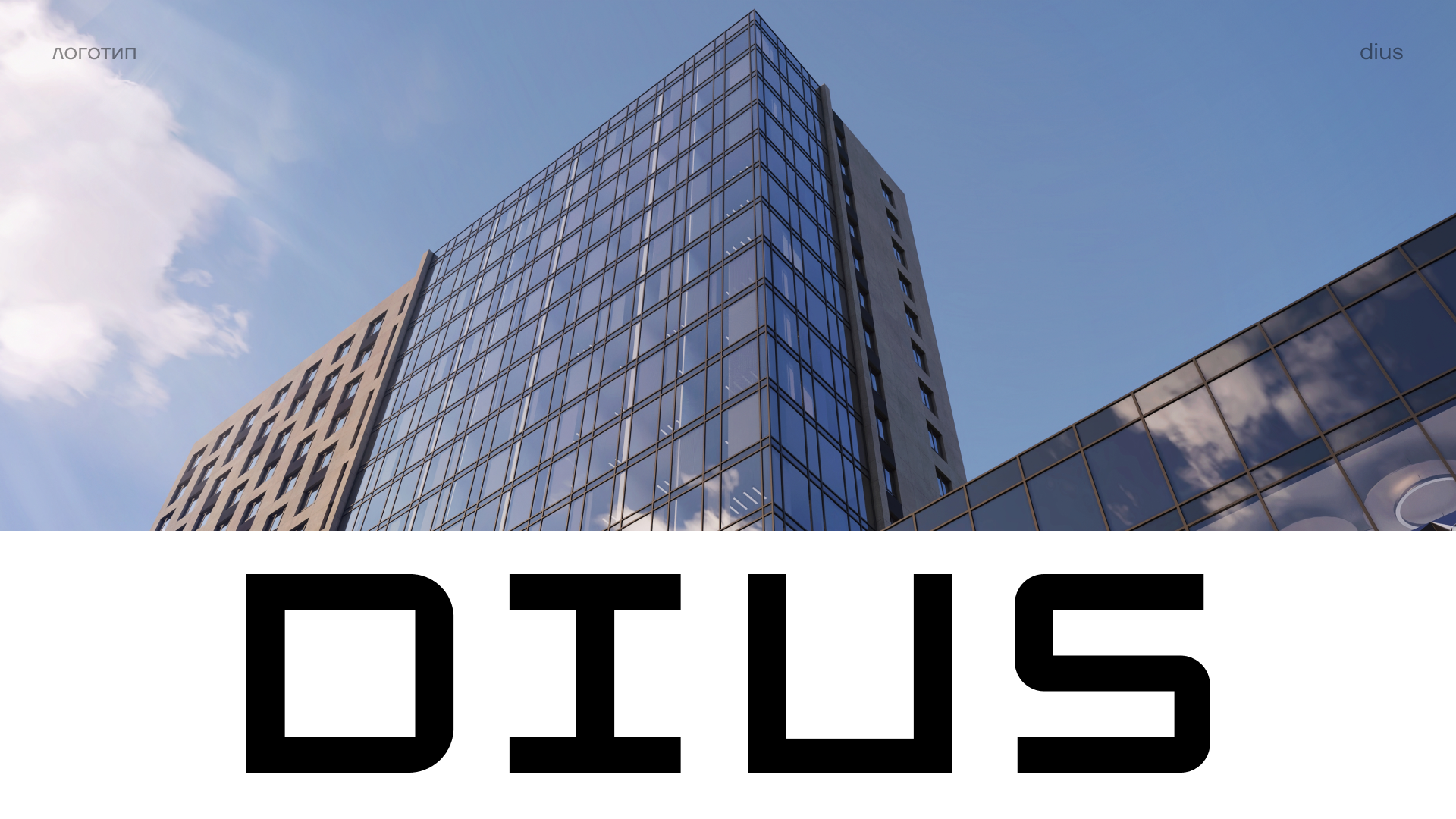 DIUS: work, play, service — Изображение №6 — Брендинг на Dprofile
