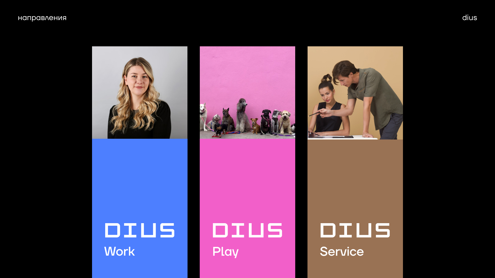 DIUS: work, play, service — Изображение №12 — Брендинг на Dprofile
