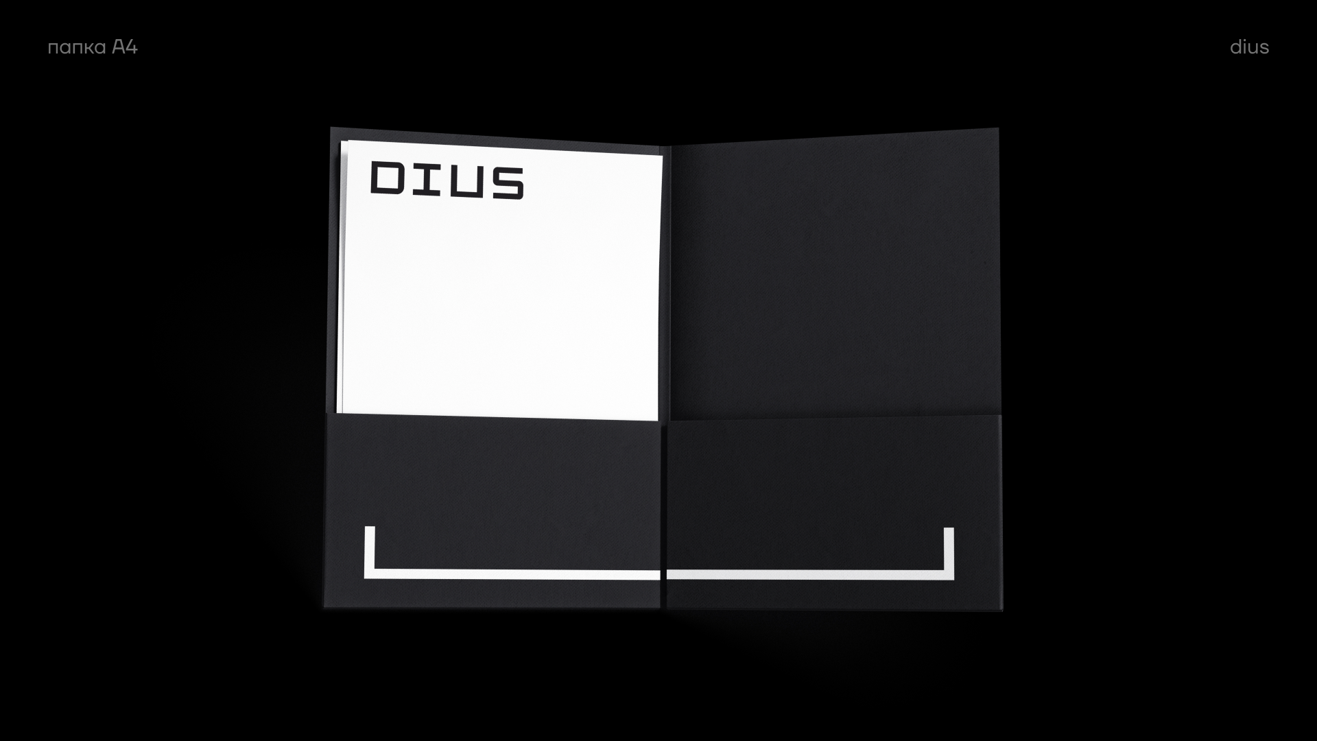 DIUS: work, play, service — Изображение №20 — Брендинг на Dprofile