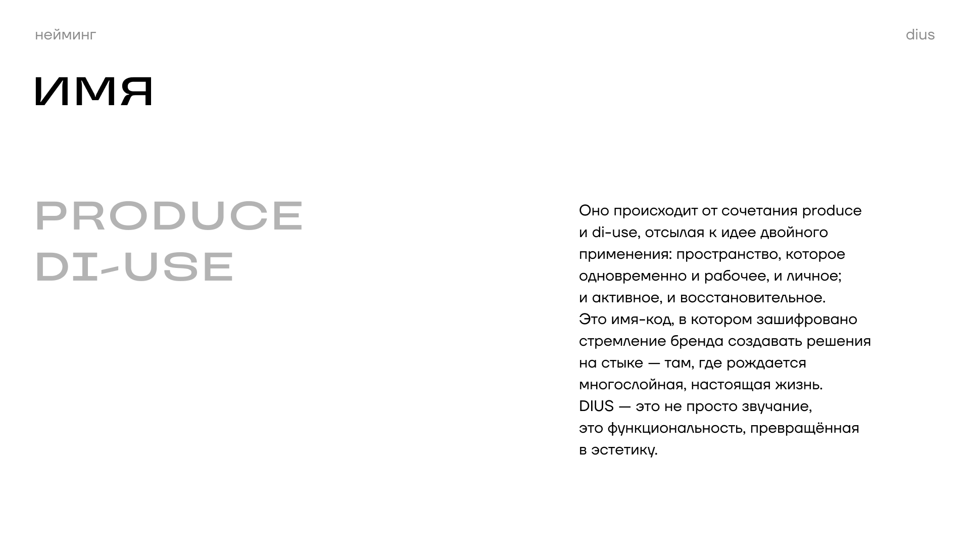 DIUS: work, play, service — Изображение №5 — Брендинг на Dprofile