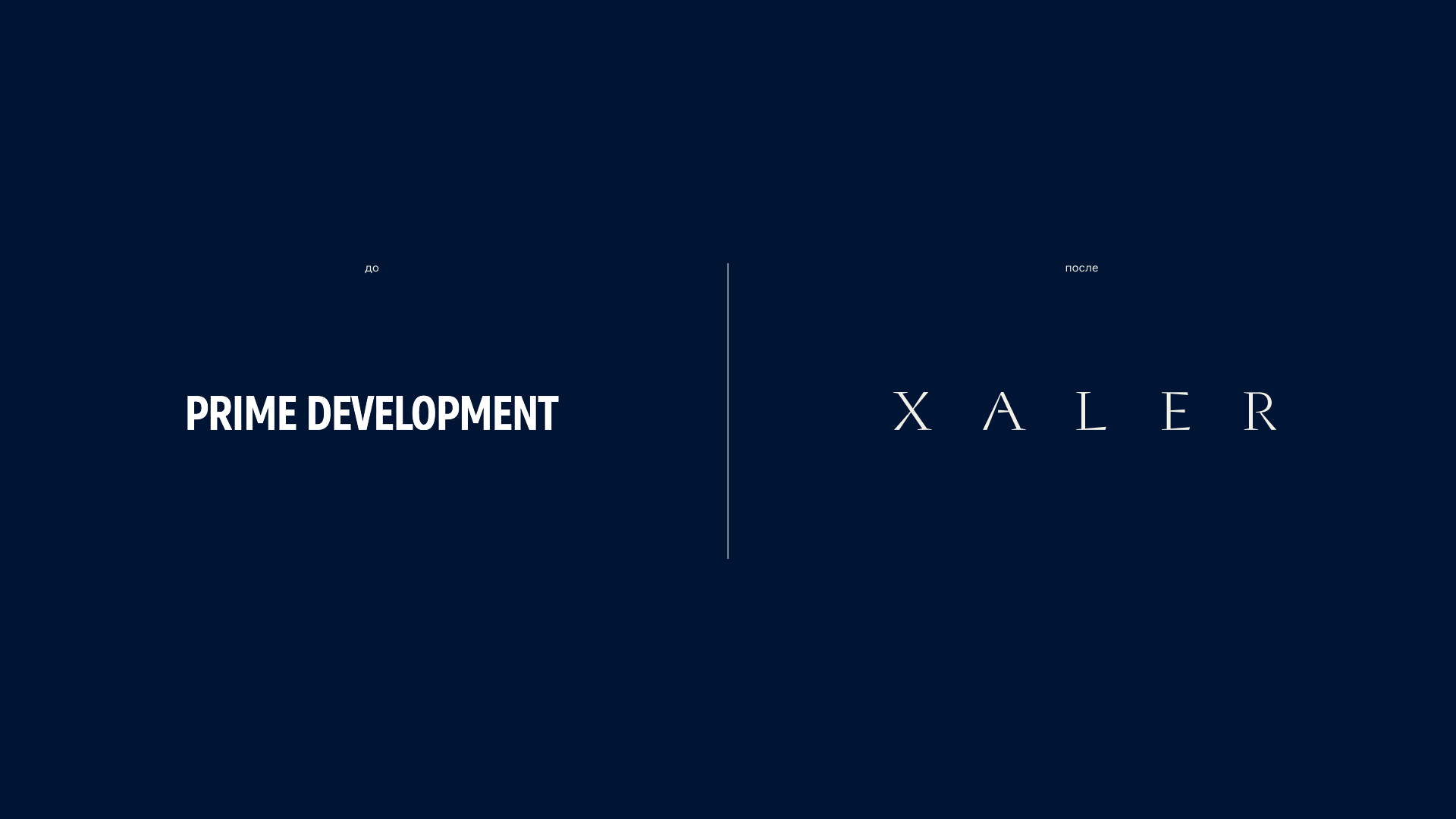 XALER — Изображение №3 — Брендинг на Dprofile