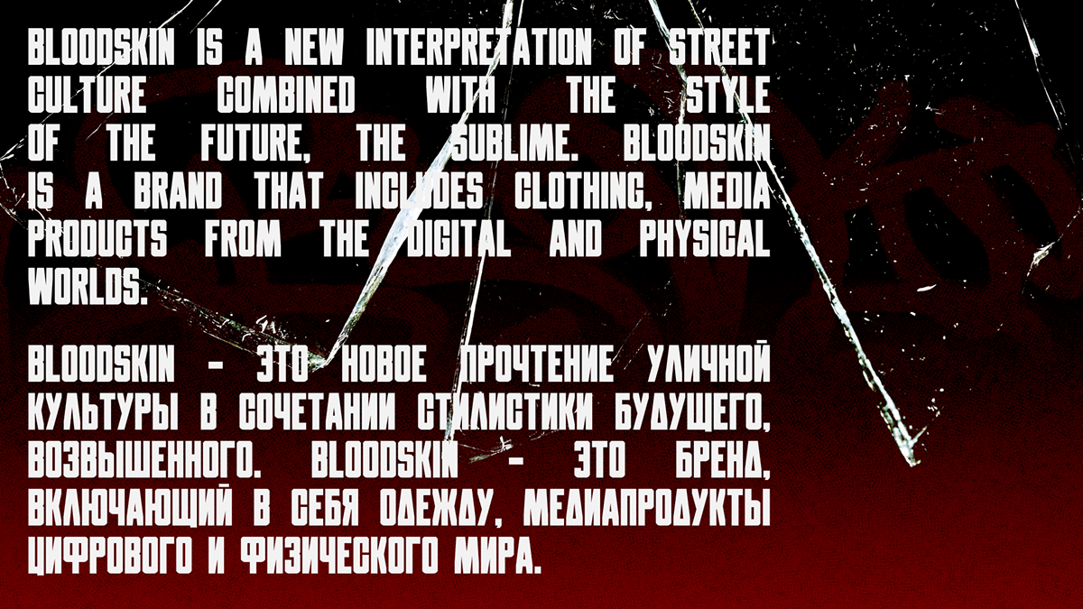 Bloodskin (Street brand) — Изображение №2 — Брендинг, Иллюстрация на Dprofile