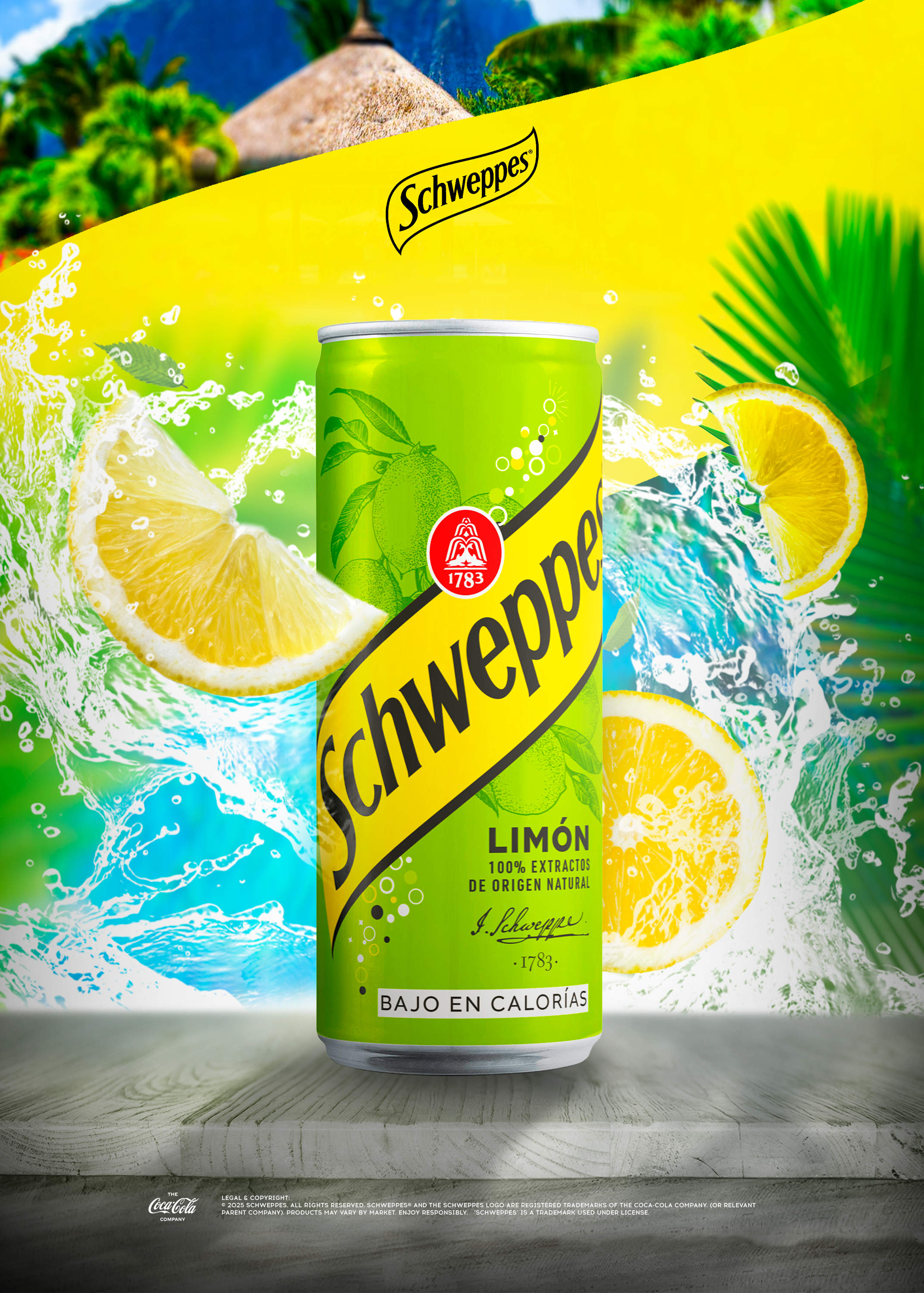 Schweppes промо дизайн | Брендинг — Изображение №12 — Брендинг, Маркетинг на Dprofile