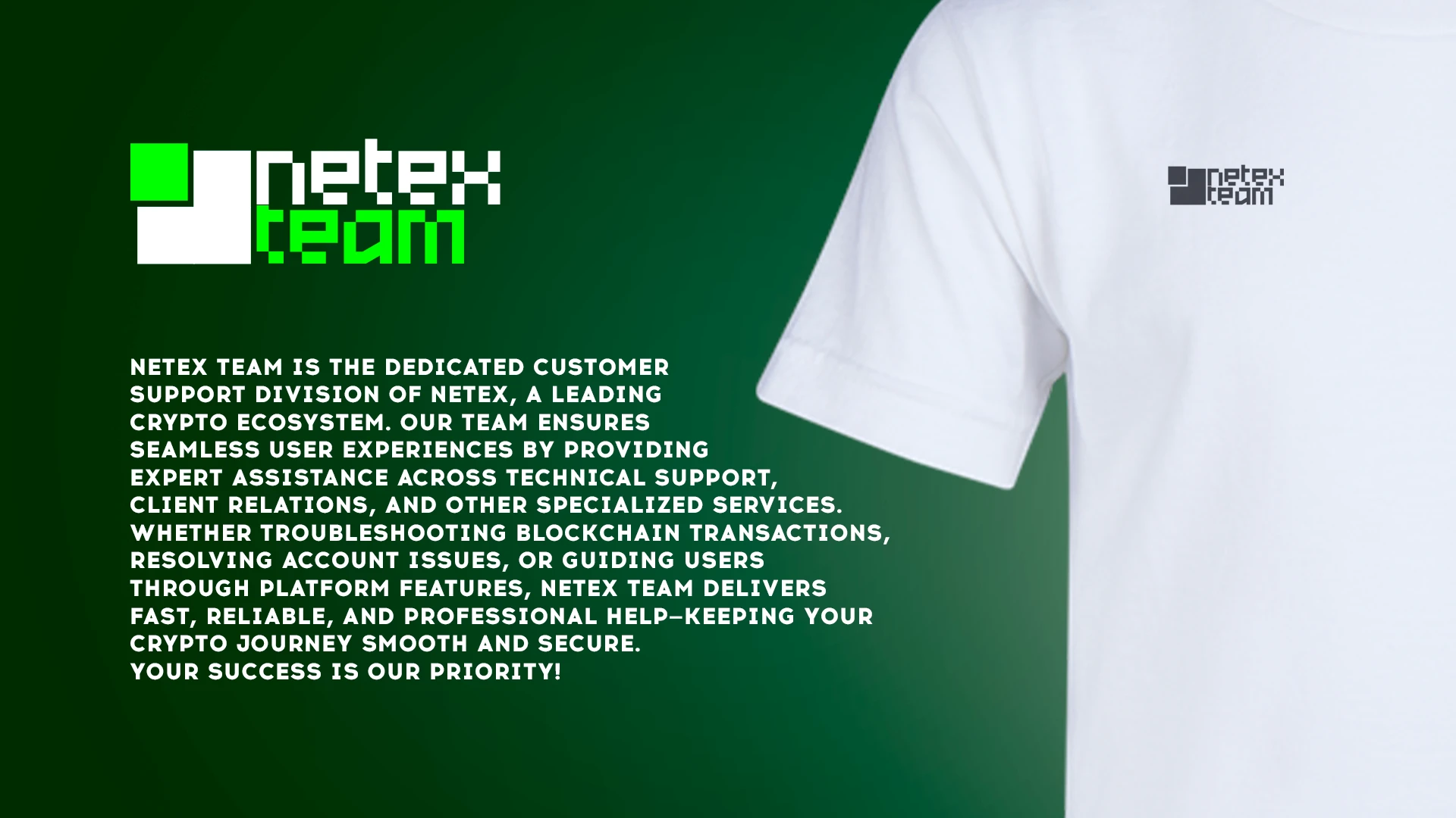 NETEX ECOSYSTEM: Brandbook — Изображение №13 — Интерфейсы, Брендинг на Dprofile