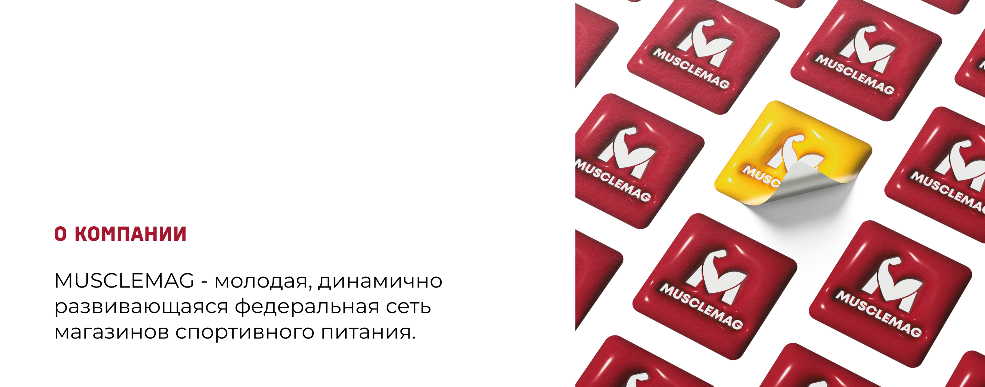 Айдентика для магазина спортивного питания Musclemag — Изображение №2 — Брендинг, Маркетинг на Dprofile