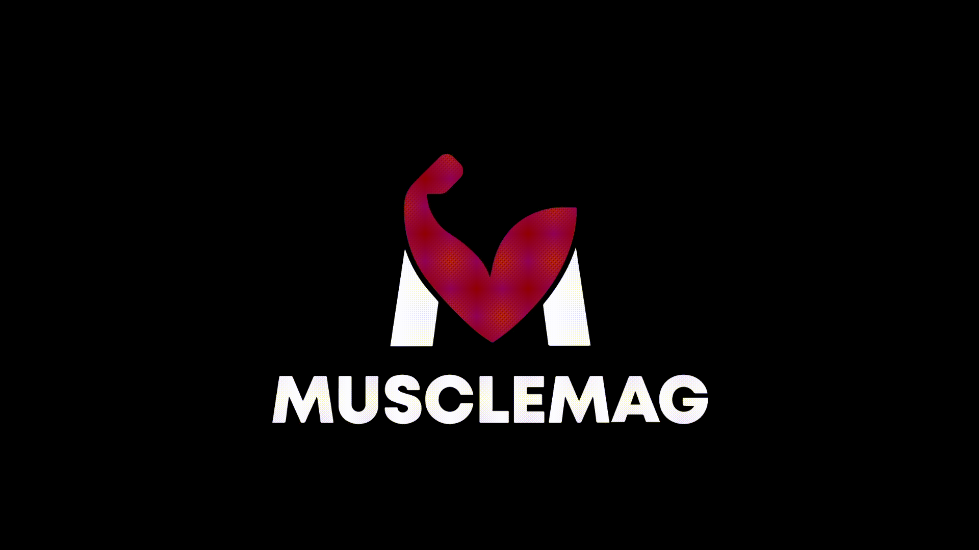 Айдентика для магазина спортивного питания Musclemag — Изображение №1 — Брендинг, Маркетинг на Dprofile