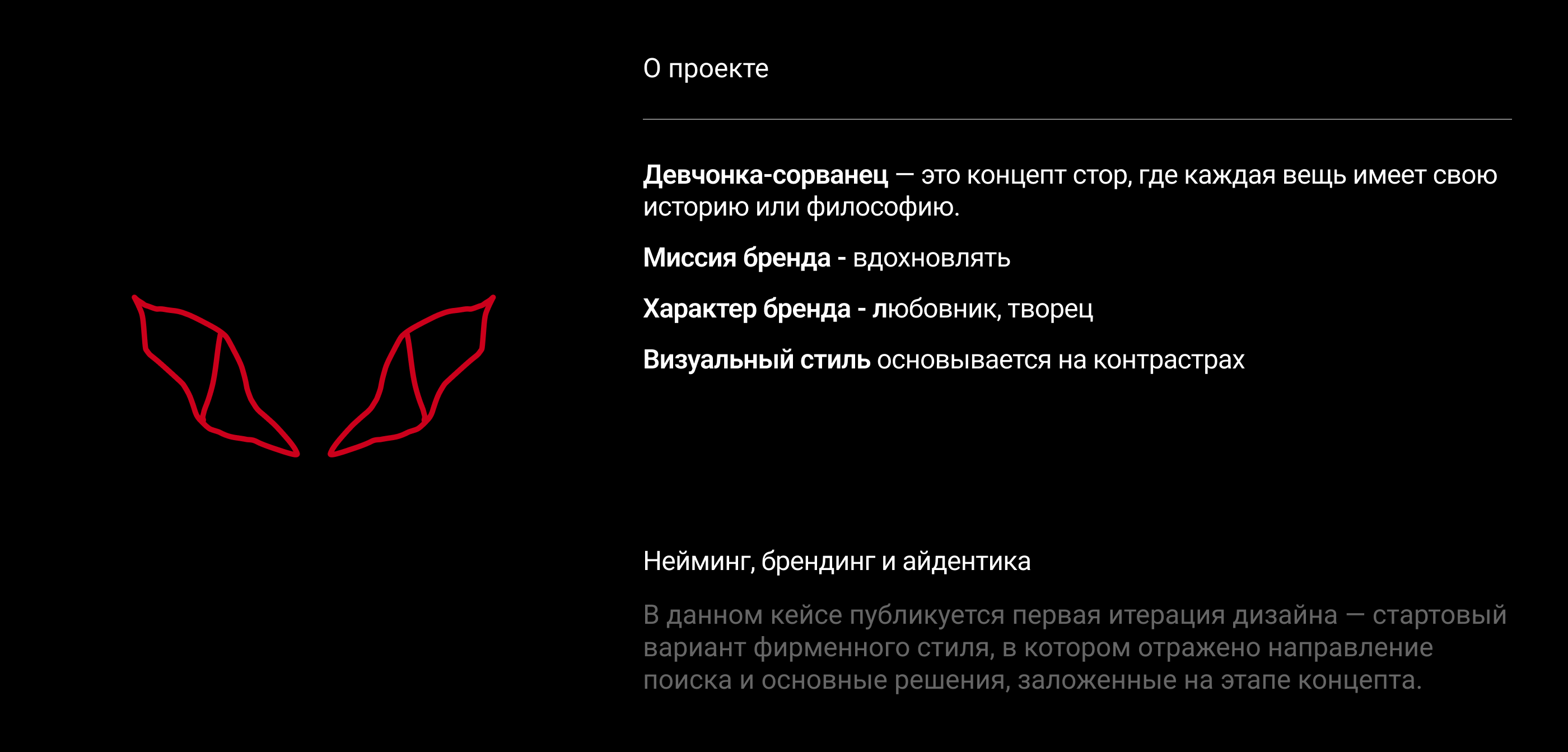 Брендинг концепт стора "DevchonkaSorvanec" — Изображение №2 — Брендинг, Маркетинг на Dprofile