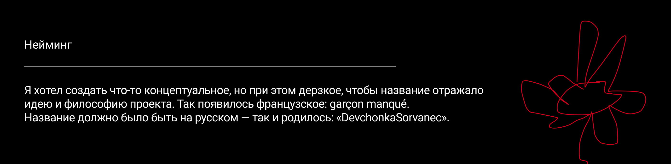 Брендинг концепт стора "DevchonkaSorvanec" — Изображение №4 — Брендинг, Маркетинг на Dprofile