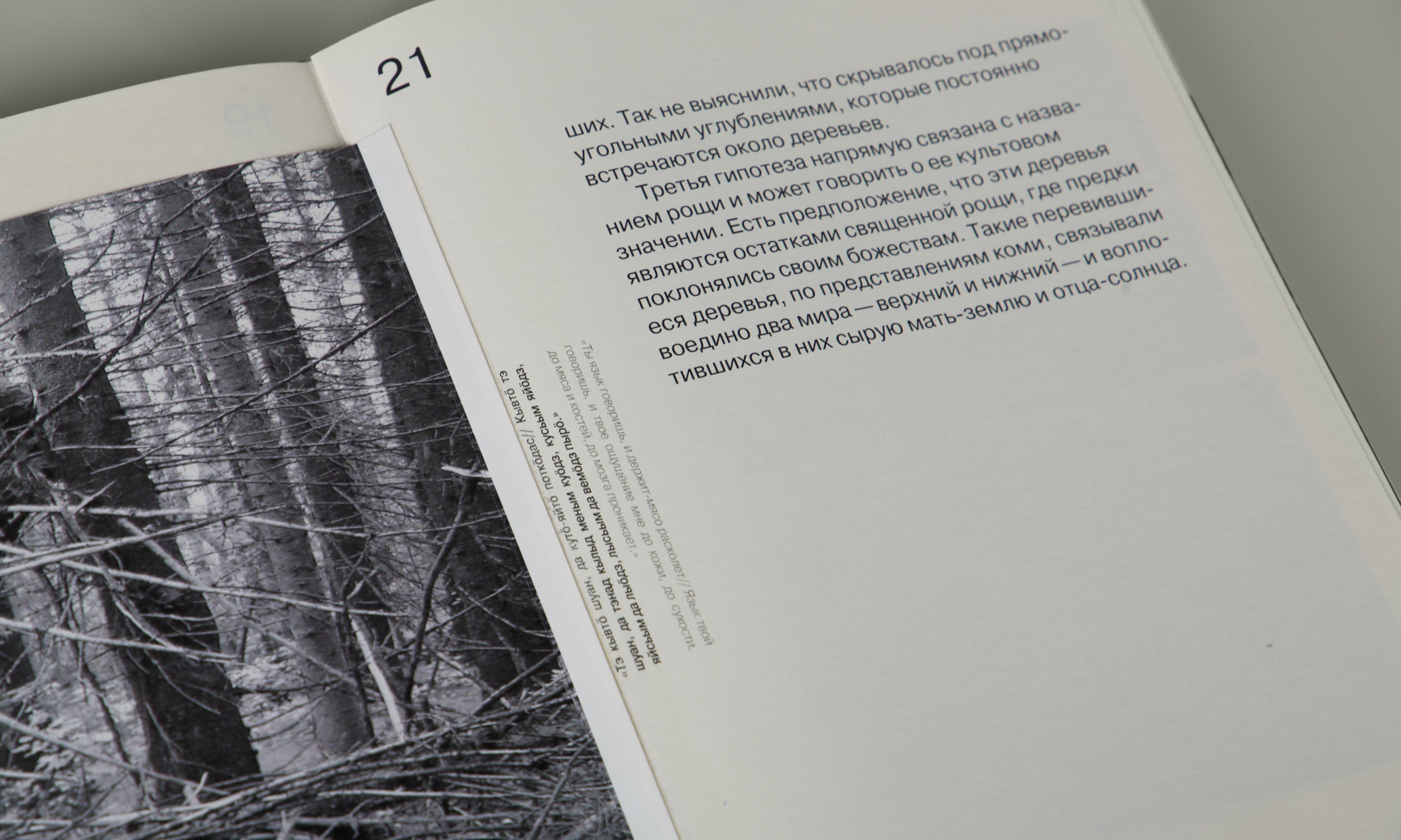Мифология Республики Коми. Визуальное исследование — Изображение №10 — Графика на Dprofile