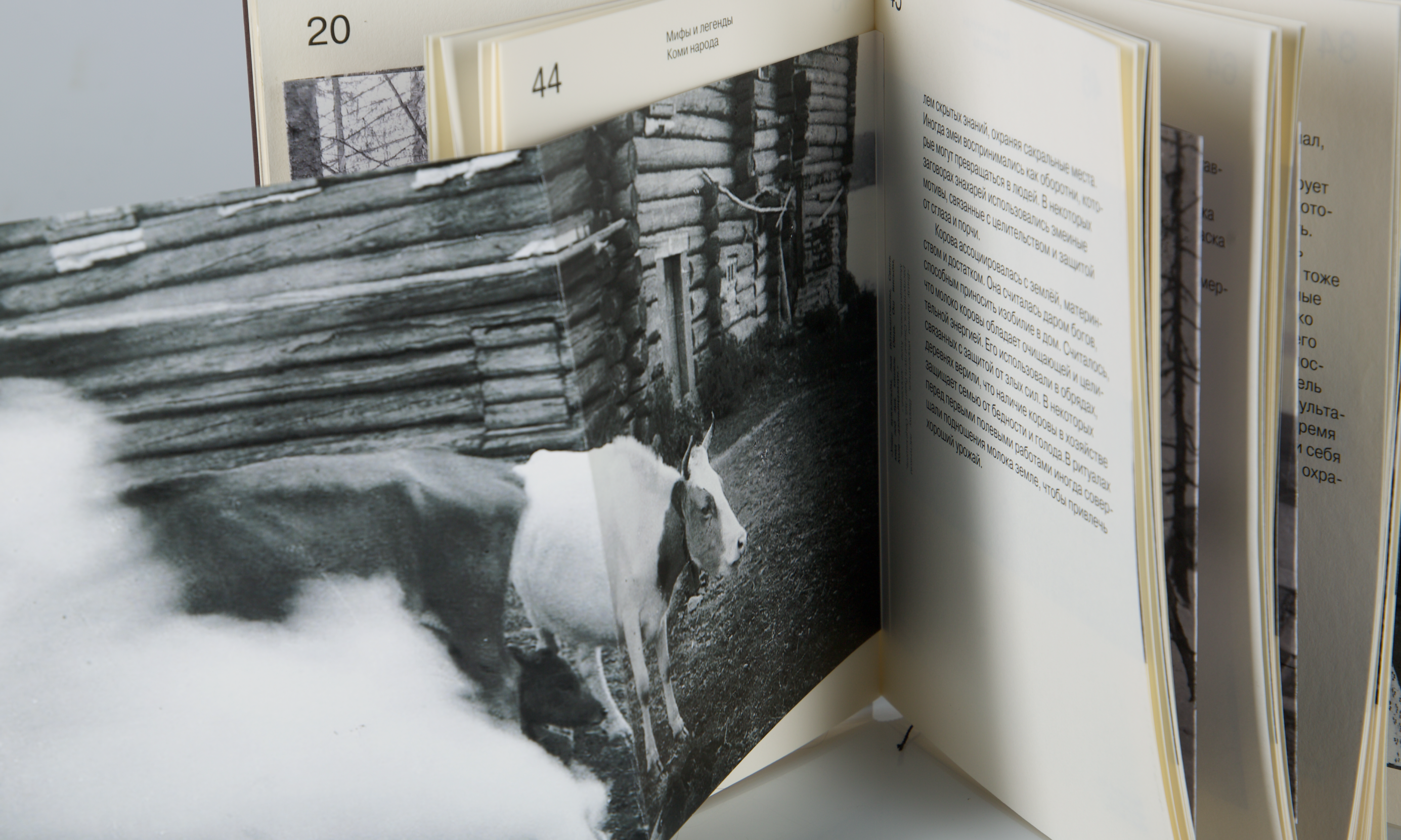 Мифология Республики Коми. Визуальное исследование — Изображение №8 — Графика на Dprofile