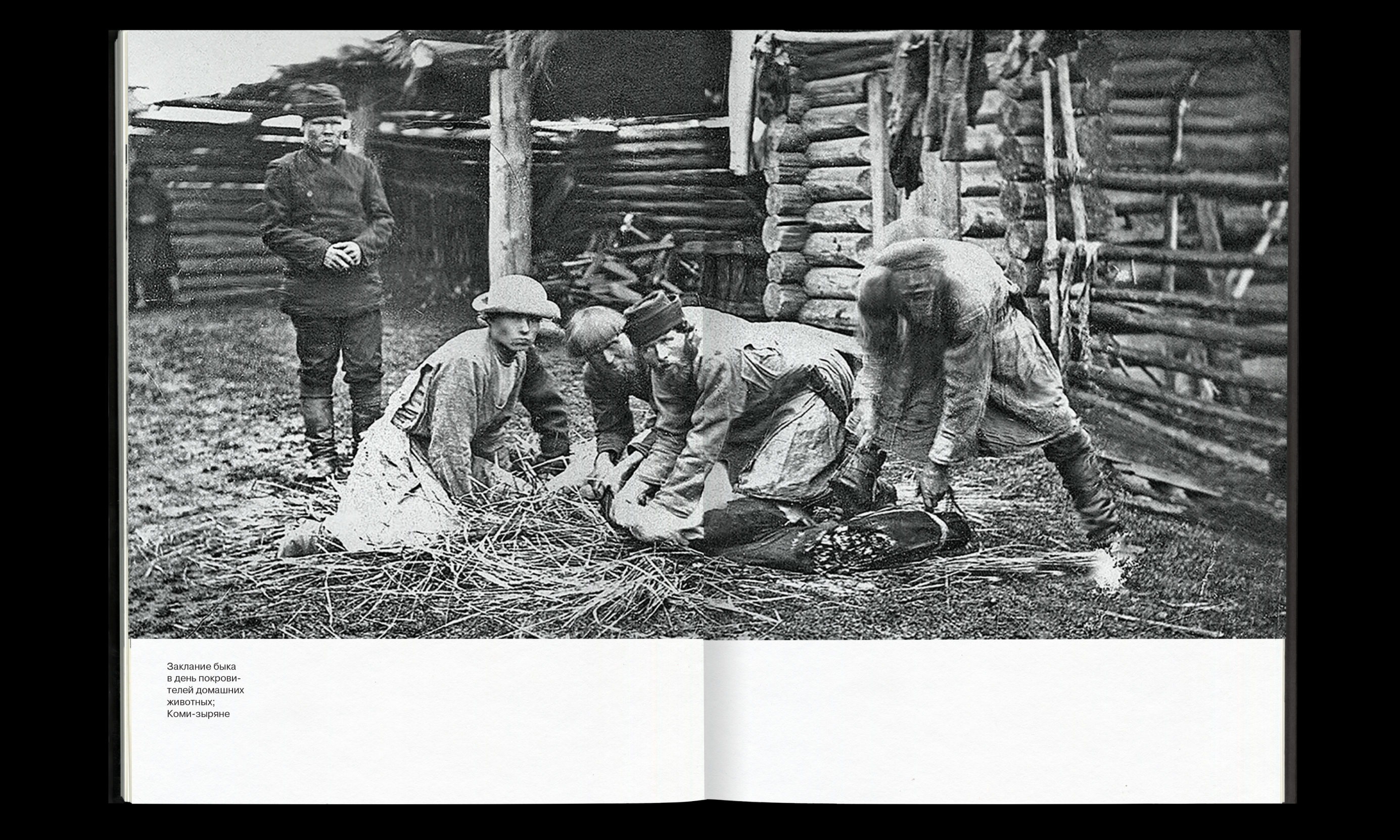 Мифология Республики Коми. Визуальное исследование — Изображение №7 — Графика на Dprofile