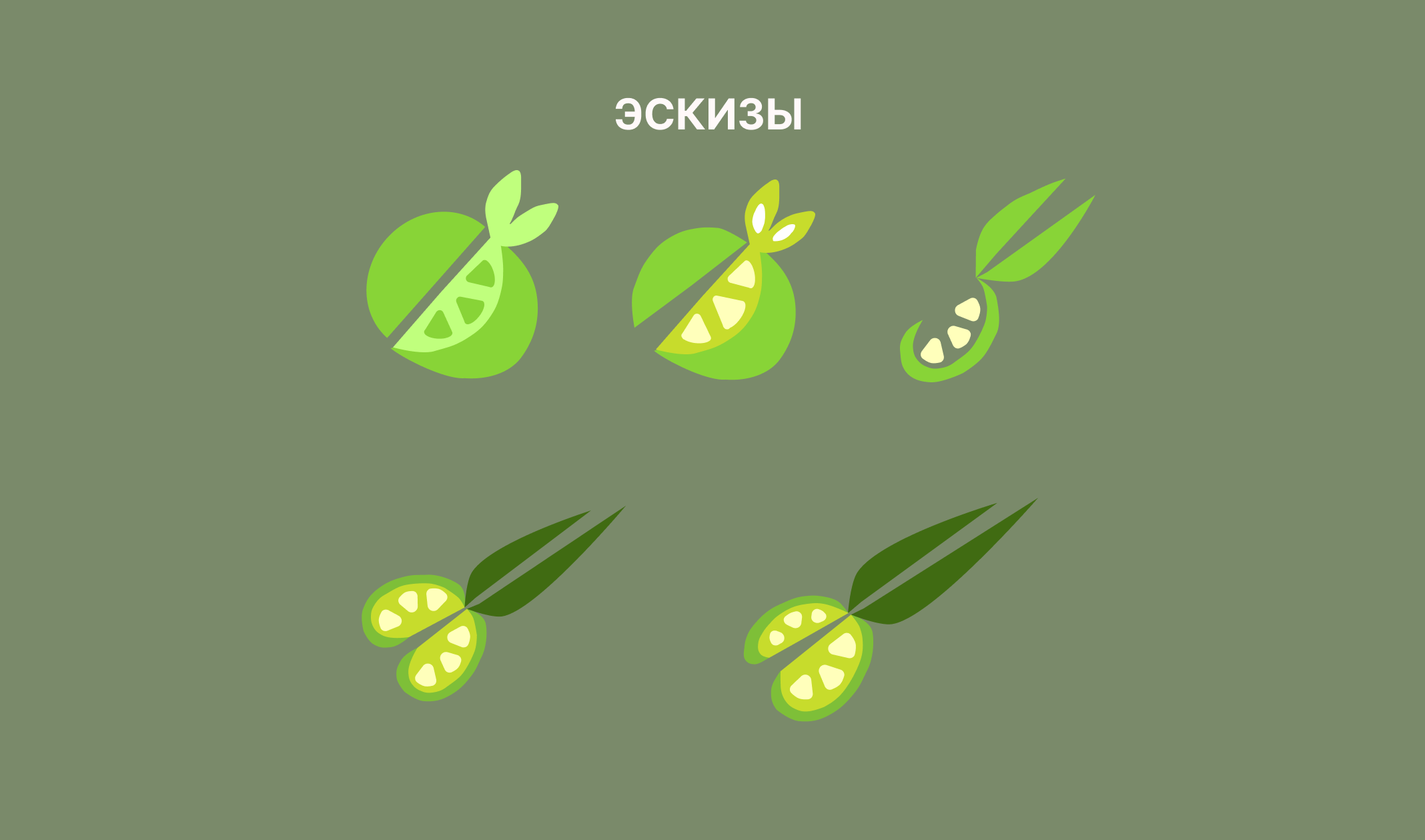 Разработка логотипа для парикмахерской Лайм — Изображение №3 — Брендинг на Dprofile