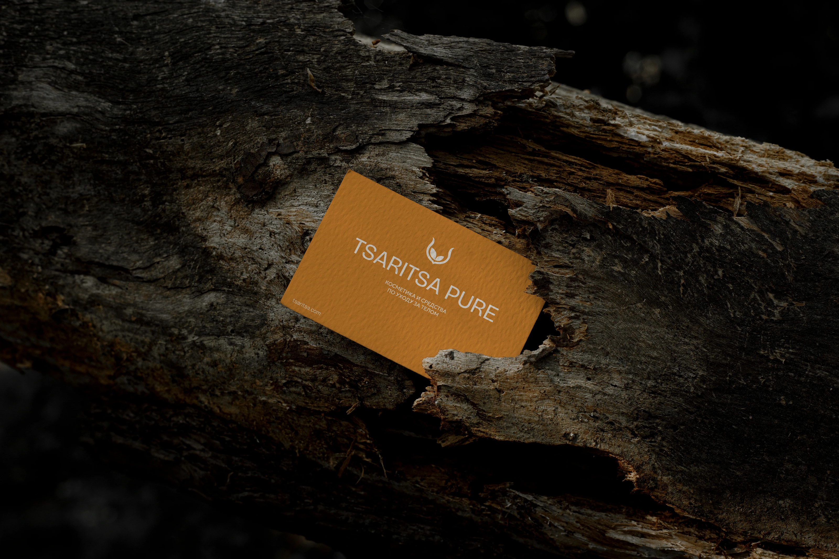 Фирменный стиль / брендинг / логотип для косметики — Изображение №17 — Брендинг на Dprofile