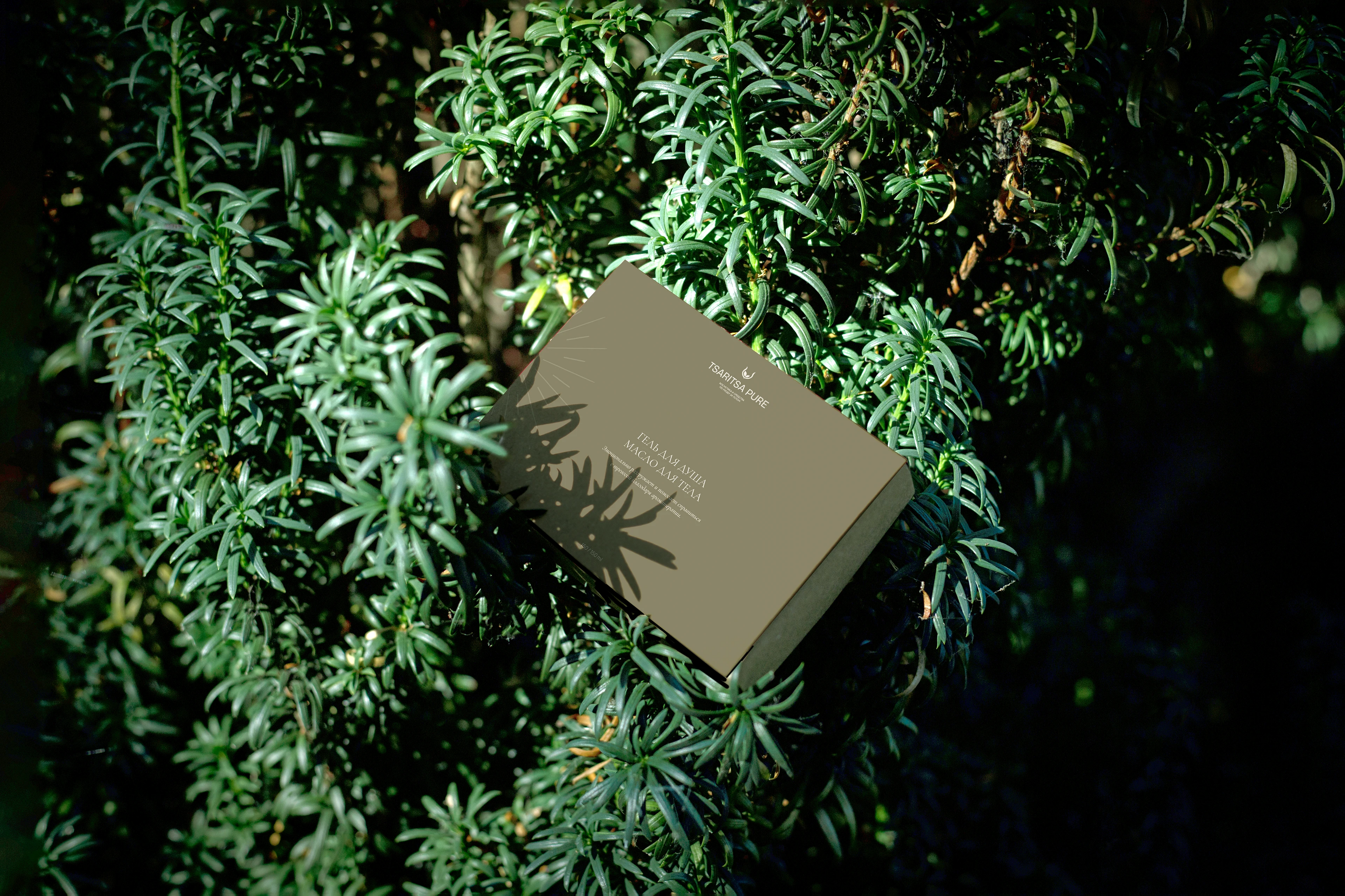 Фирменный стиль / брендинг / логотип для косметики — Изображение №15 — Брендинг на Dprofile