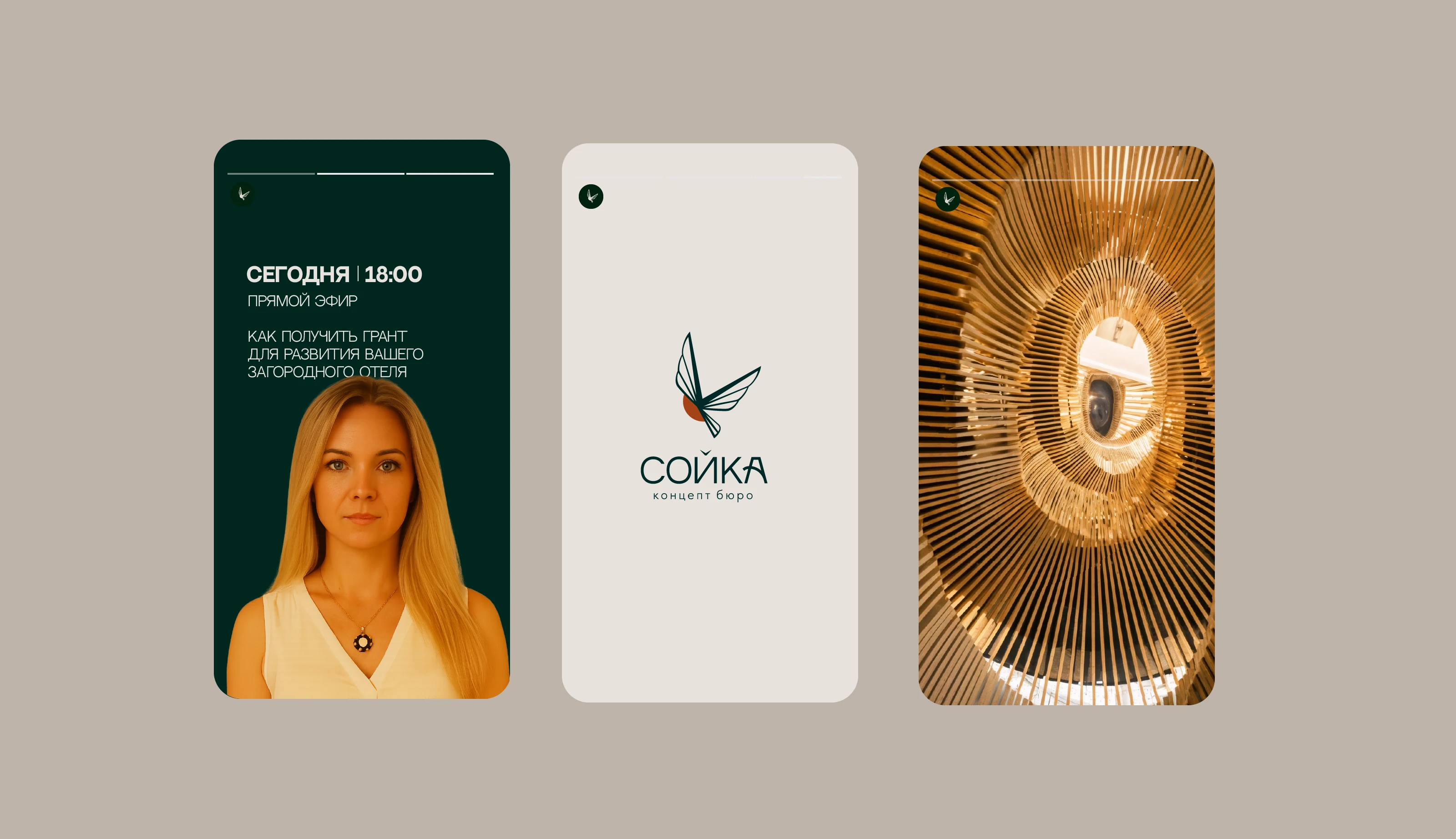 Архитетурное концепт бюро «Сойка» — Изображение №5 — Брендинг на Dprofile