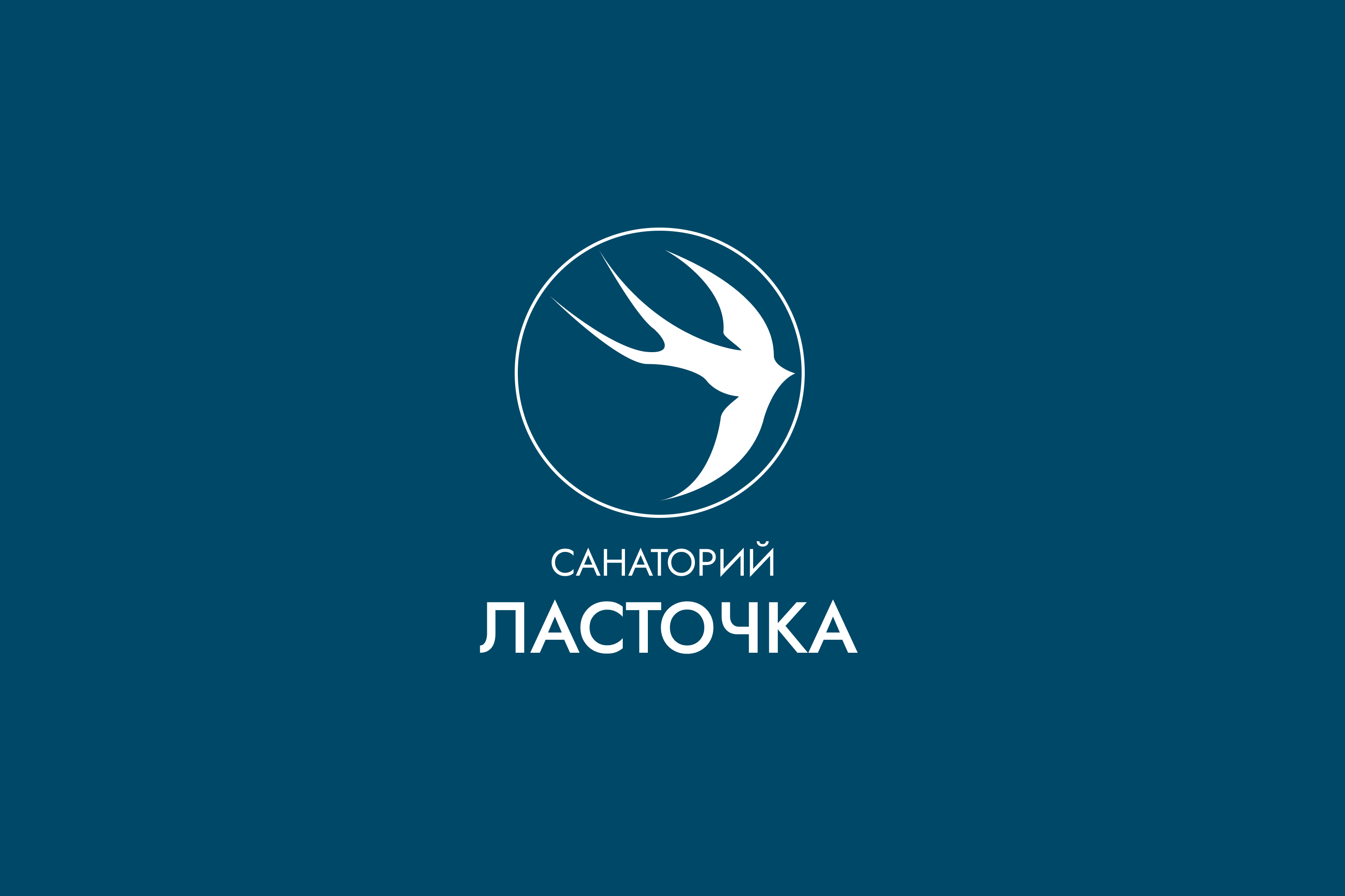 Логотип и фирменный стиль для санатория "Ласточка" — Изображение №3 — Брендинг, Графика на Dprofile