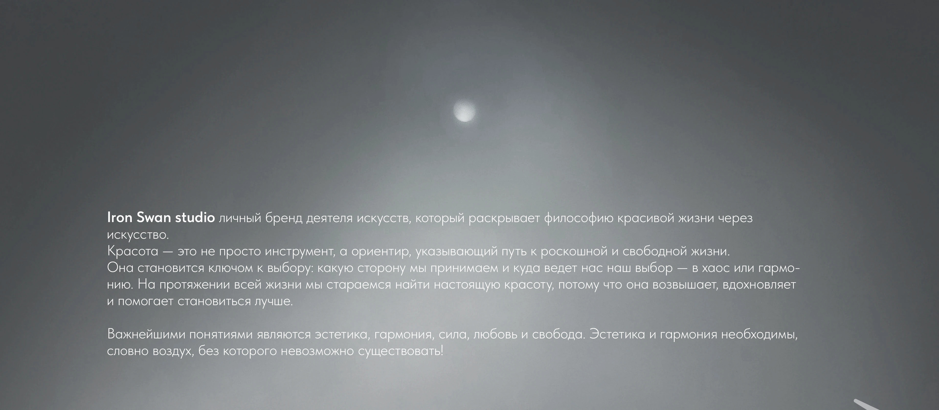 Личный бренд Iron Swаn — Изображение №1 — Брендинг, Графика на Dprofile