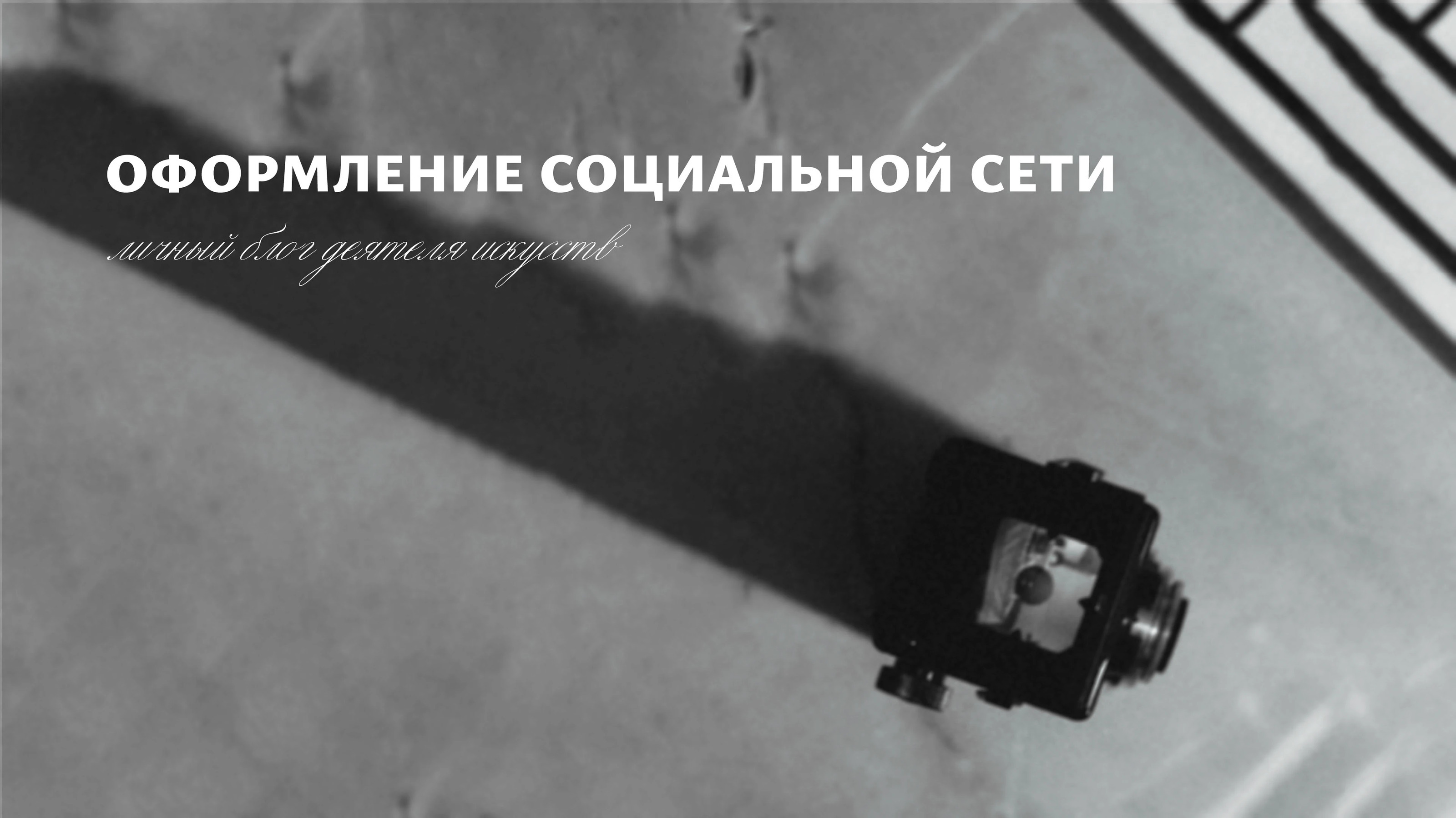 Личный бренд Iron Swаn — Изображение №10 — Брендинг, Графика на Dprofile