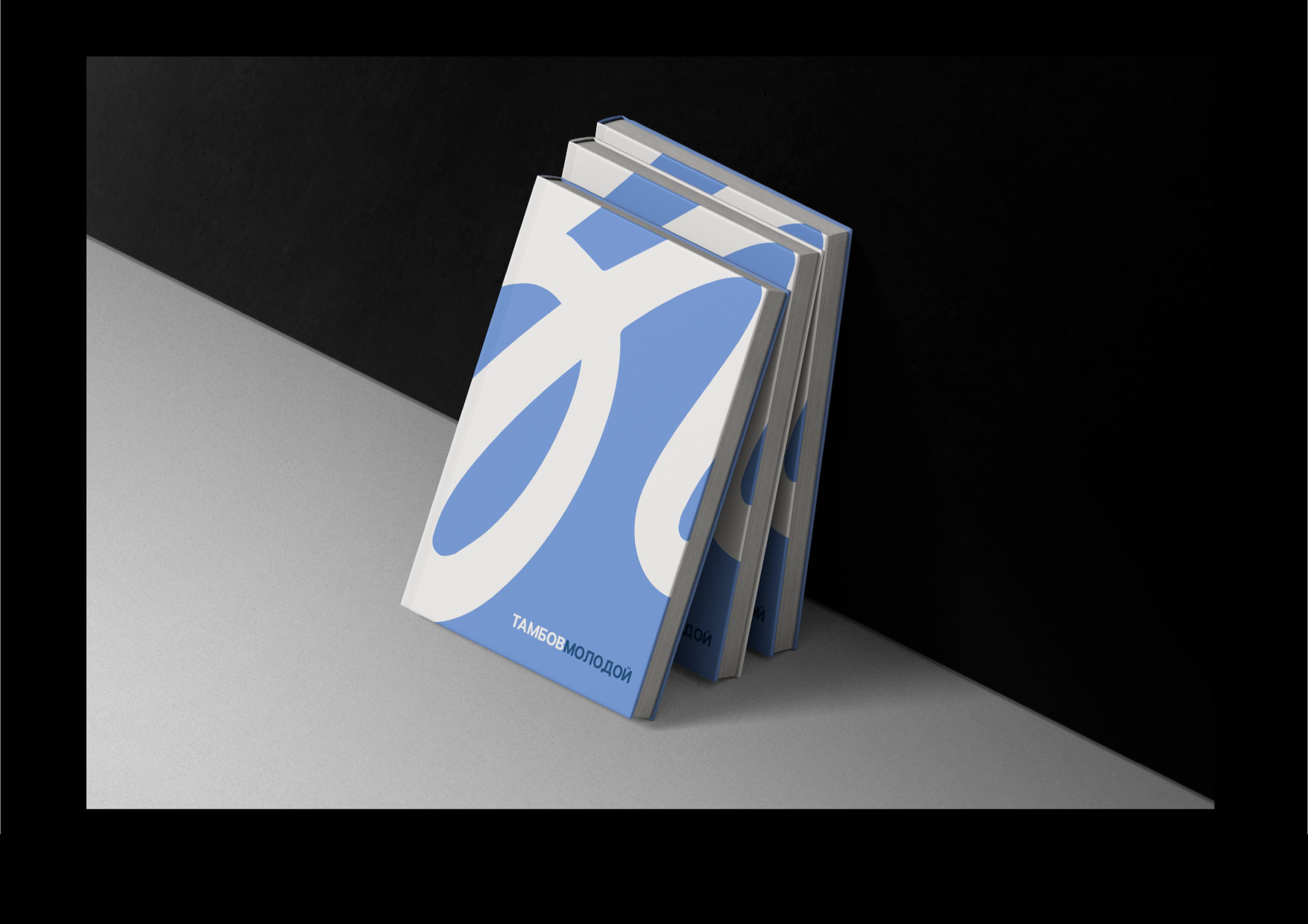 Бренд "ТАМБОВМОЛОДОЙ" — Изображение №13 — Интерфейсы, Брендинг на Dprofile