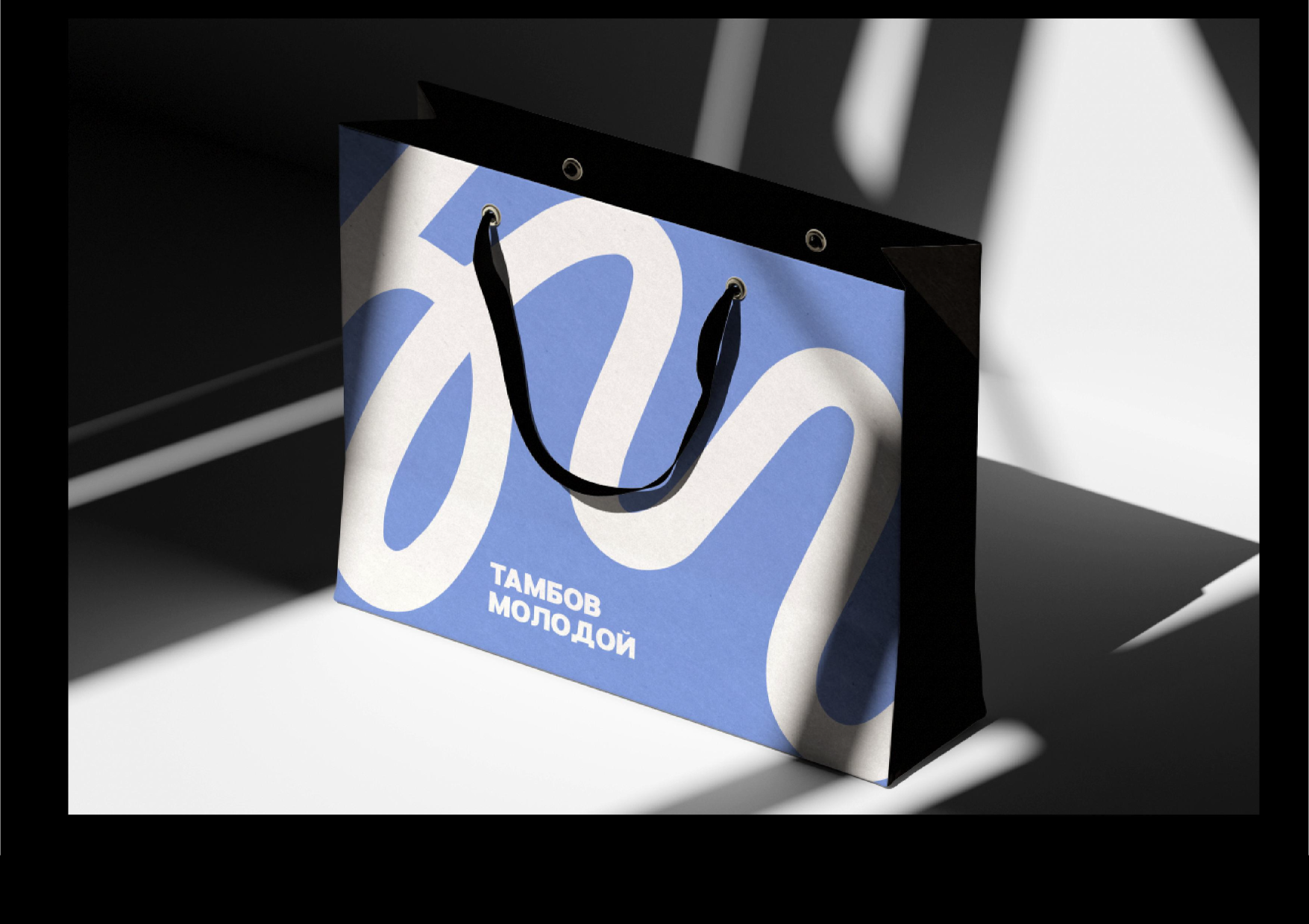 Бренд "ТАМБОВМОЛОДОЙ" — Изображение №12 — Интерфейсы, Брендинг на Dprofile