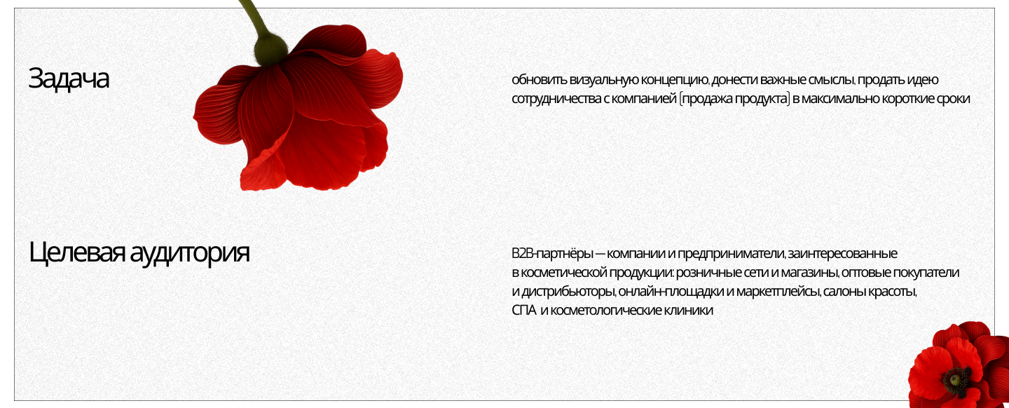 Коммерческое предложение | презентация продукта — Изображение №2 — Маркетинг на Dprofile