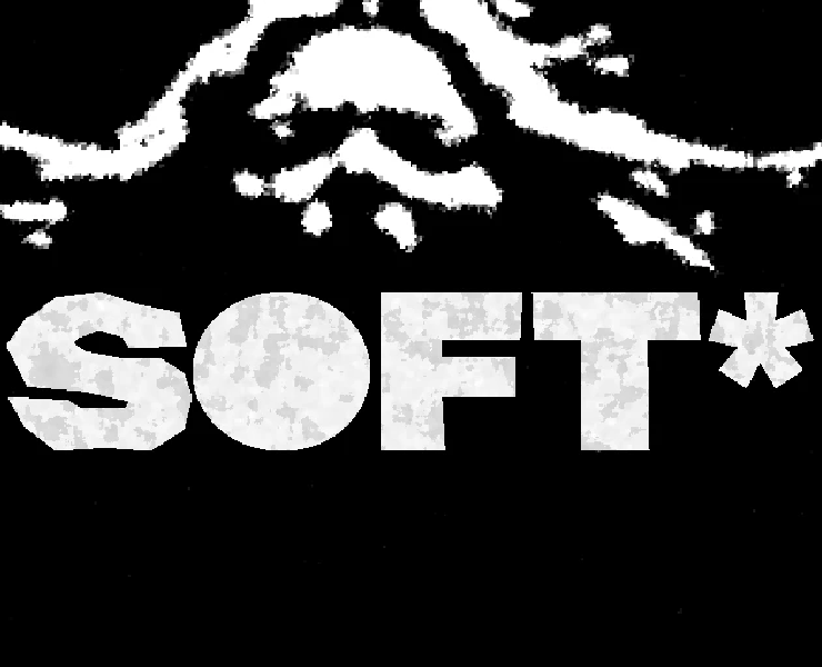 SOFT* — Брендинг на Dprofile