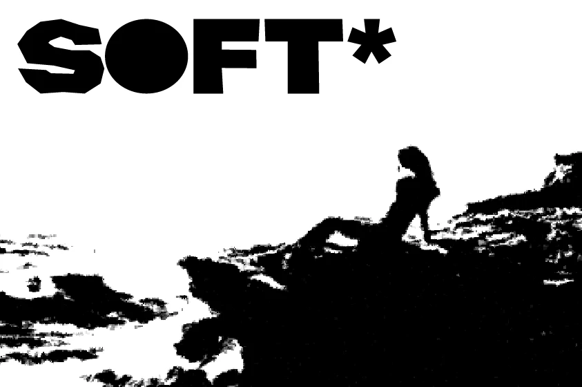 SOFT* — Изображение №3 — Брендинг на Dprofile