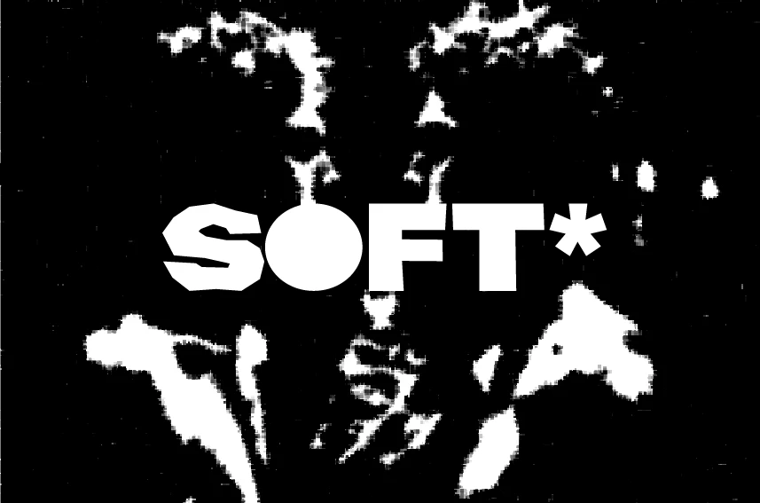 SOFT* — Изображение №9 — Брендинг на Dprofile