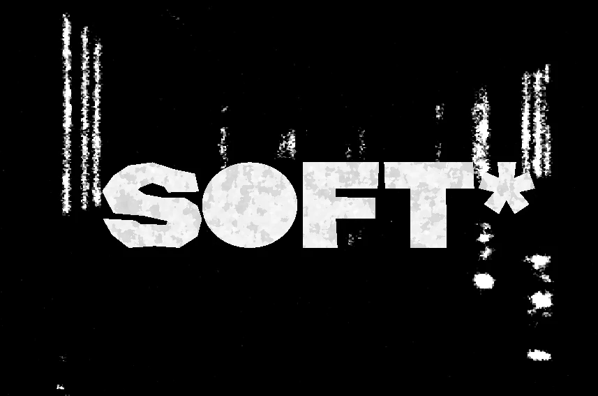 SOFT* — Изображение №10 — Брендинг на Dprofile