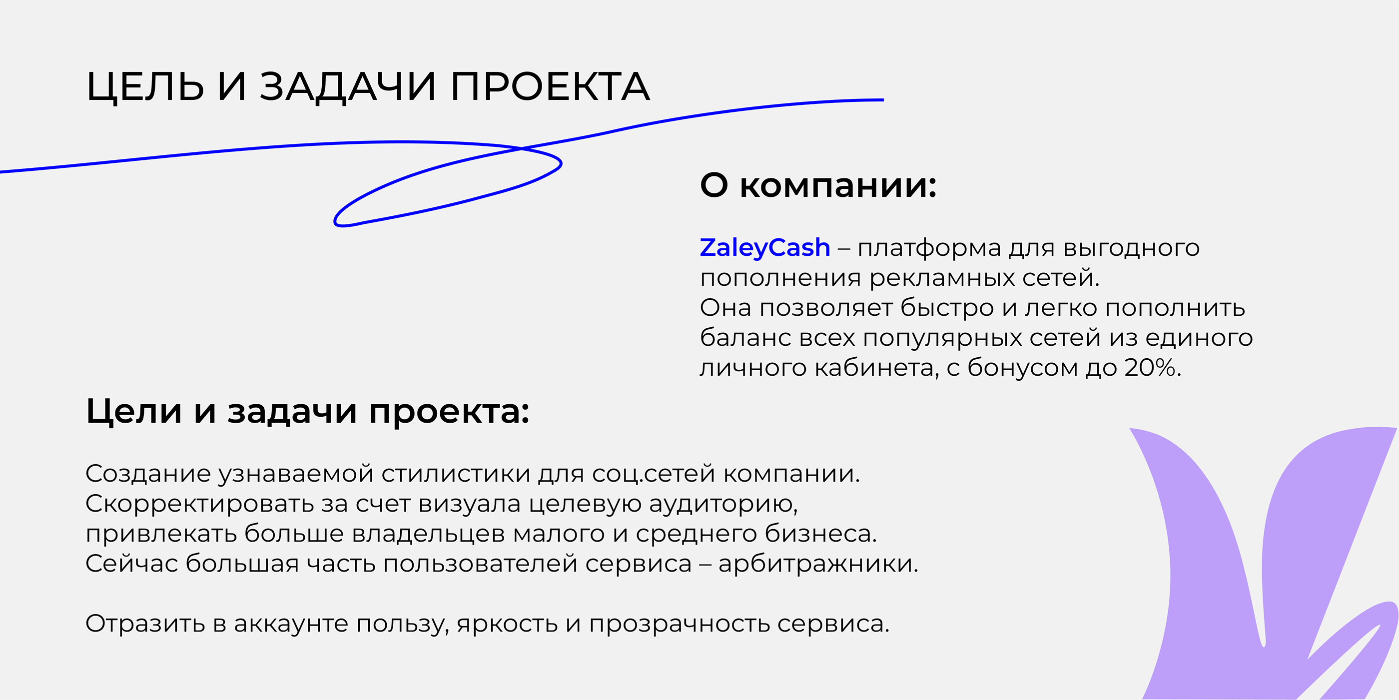 Social Media| Инстаграм рекламного сервиса Zaleycash — Изображение №2 — Брендинг, Маркетинг на Dprofile