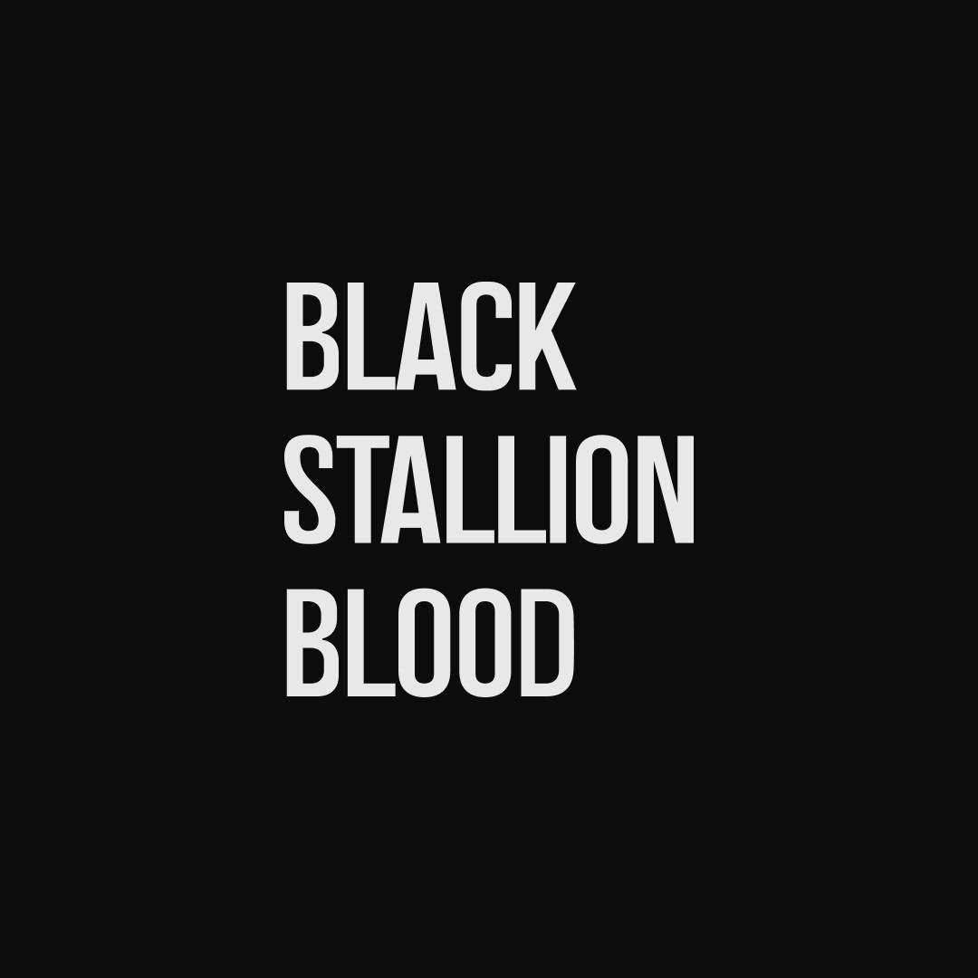 Аватар пользователя Black Stallion Blood
