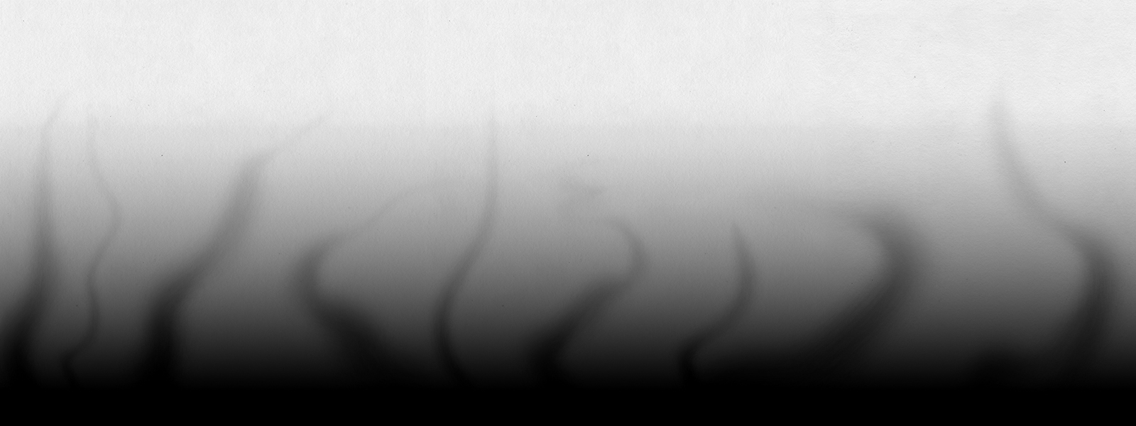 Птеродактиль Адам — Изображение №6 — Иллюстрация на Dprofile