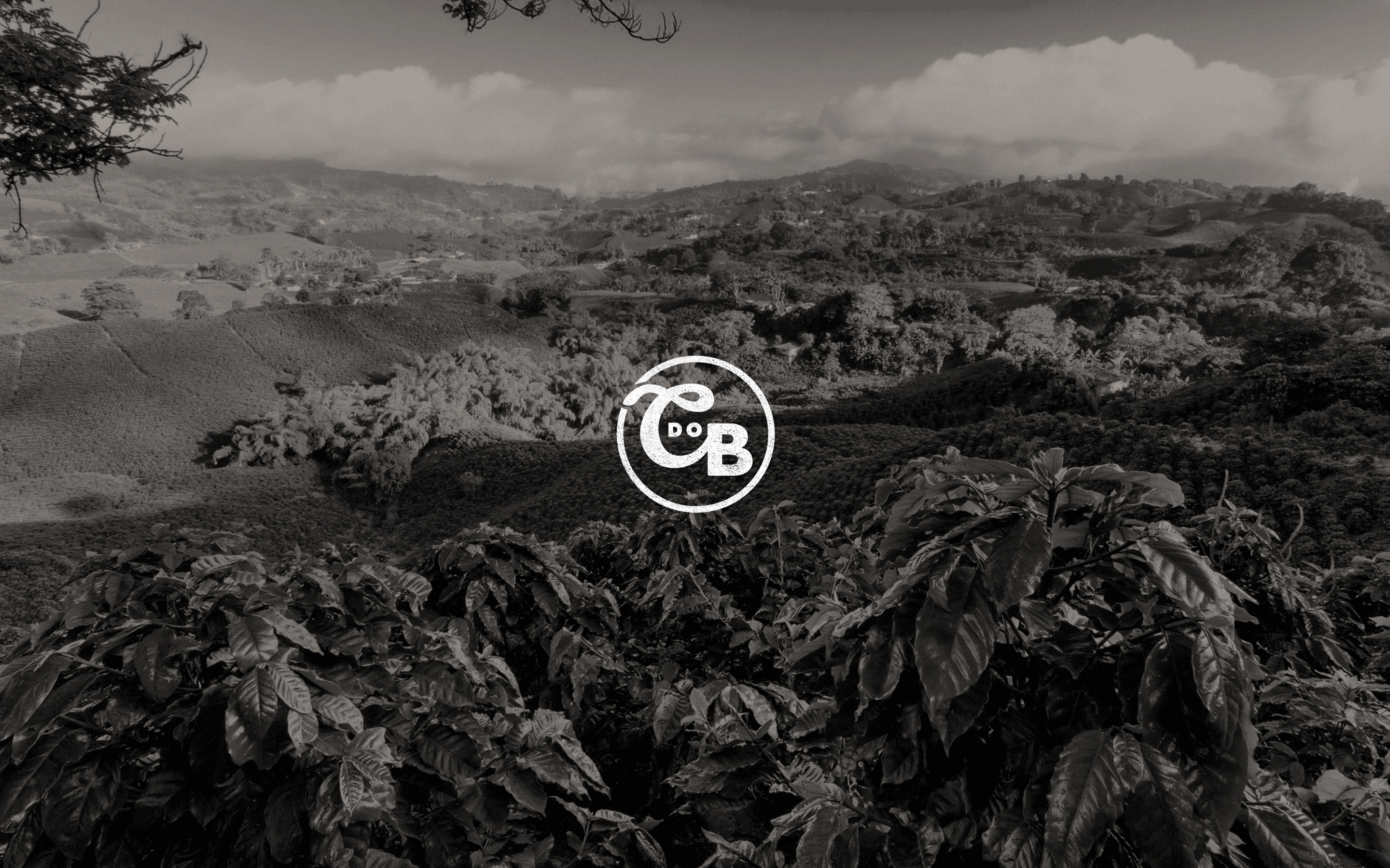 Cafezinho do Brazil — Изображение №1 — Брендинг на Dprofile