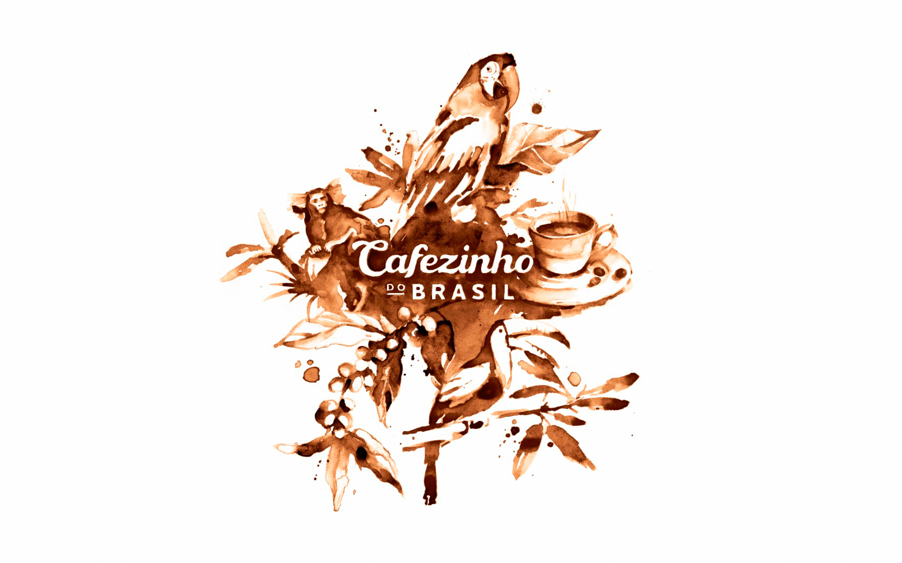 Cafezinho do Brazil — Изображение №16 — Брендинг на Dprofile