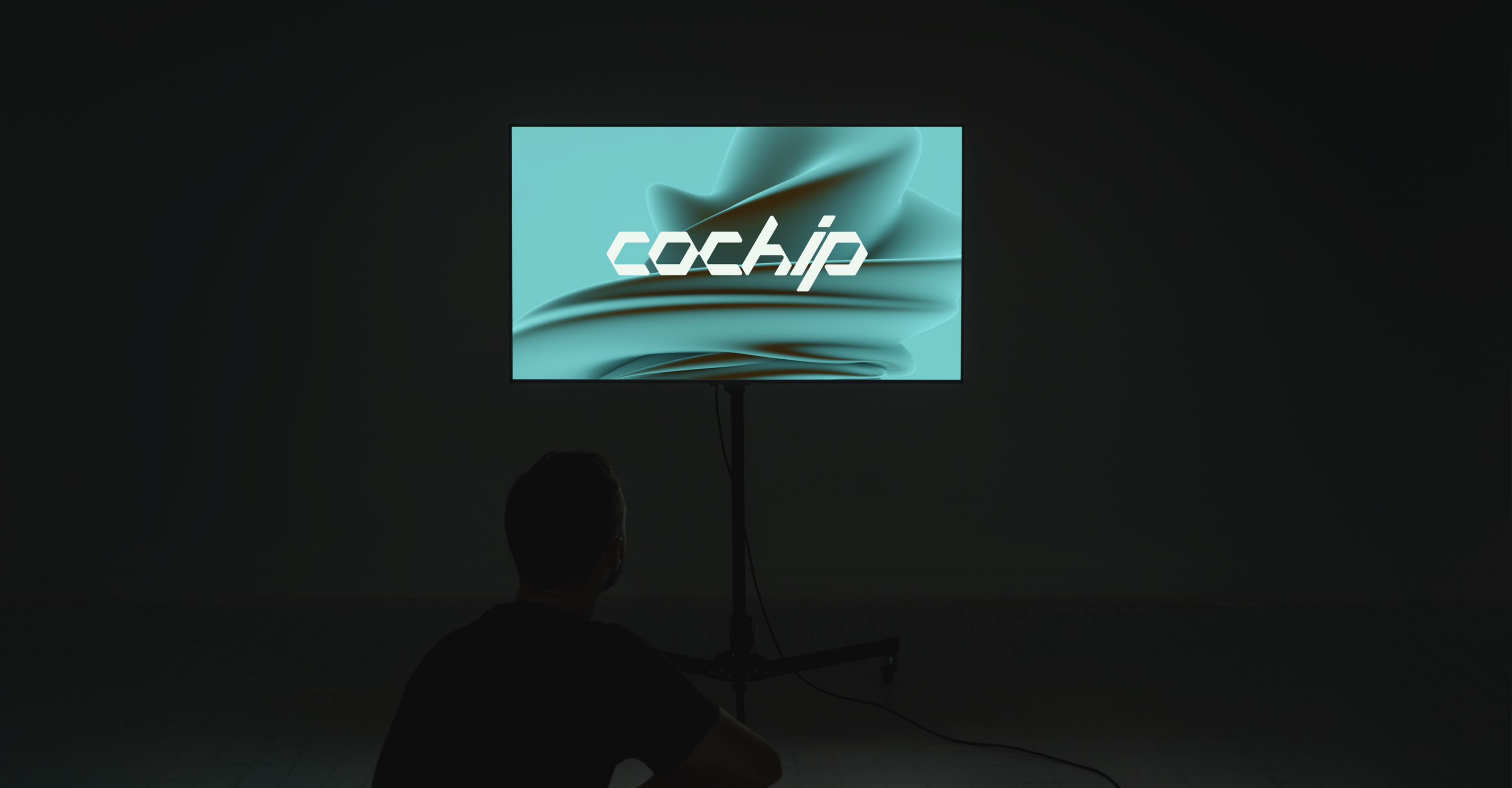 Coсhip | Разработка логотипа — Изображение №4 — Брендинг на Dprofile
