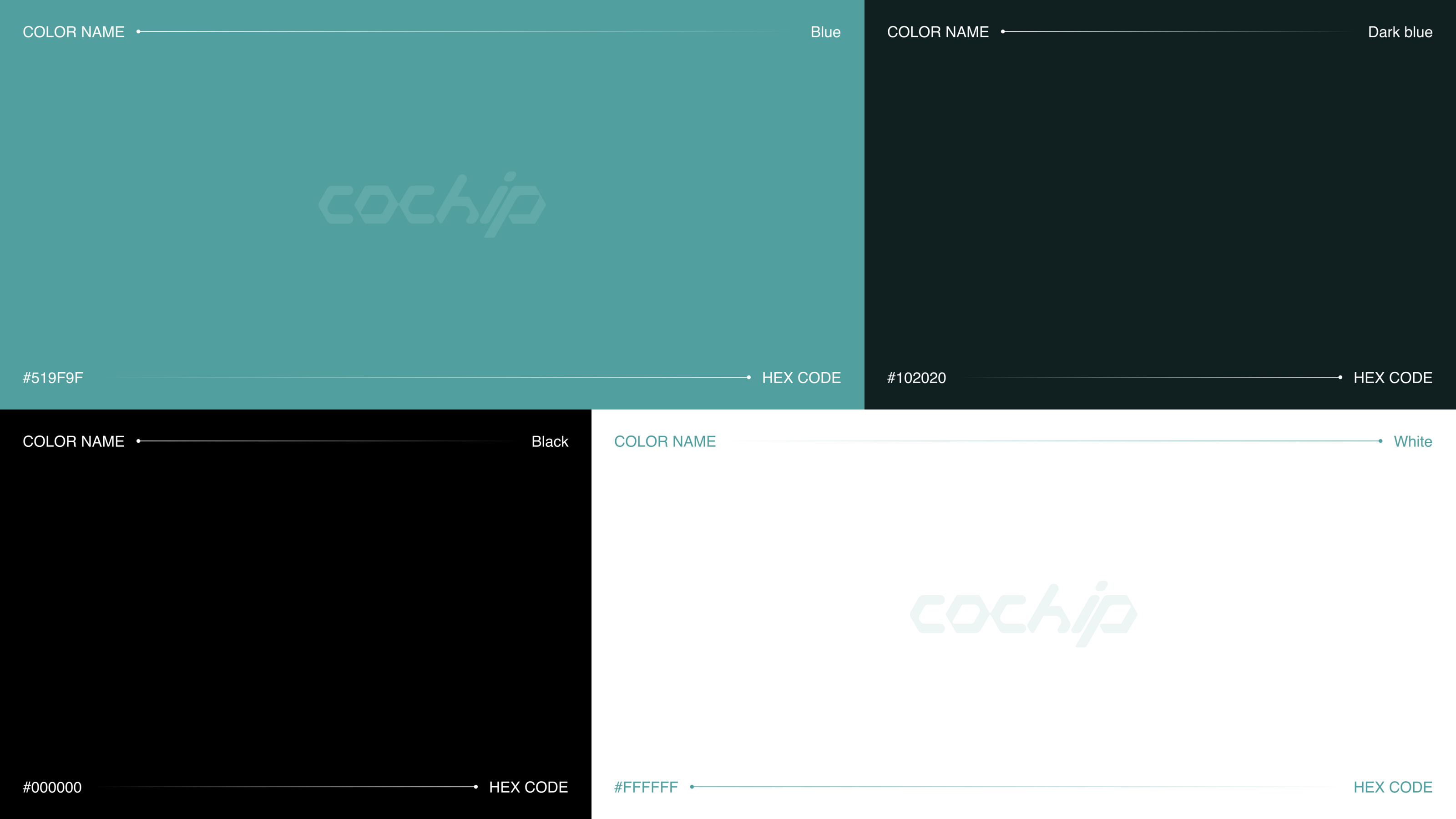 Coсhip | Разработка логотипа — Изображение №3 — Брендинг на Dprofile