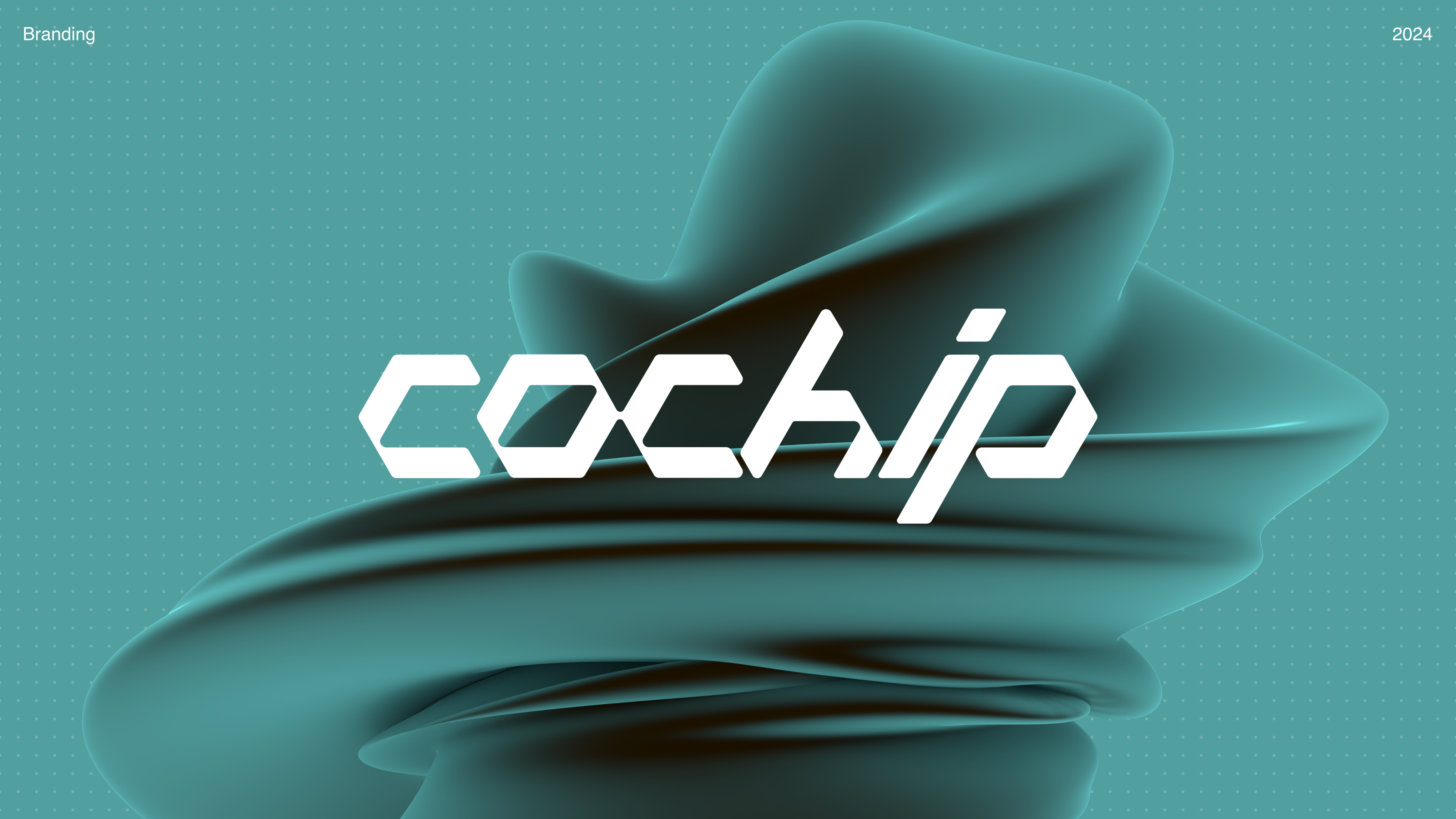 Coсhip | Разработка логотипа — Изображение №1 — Брендинг на Dprofile