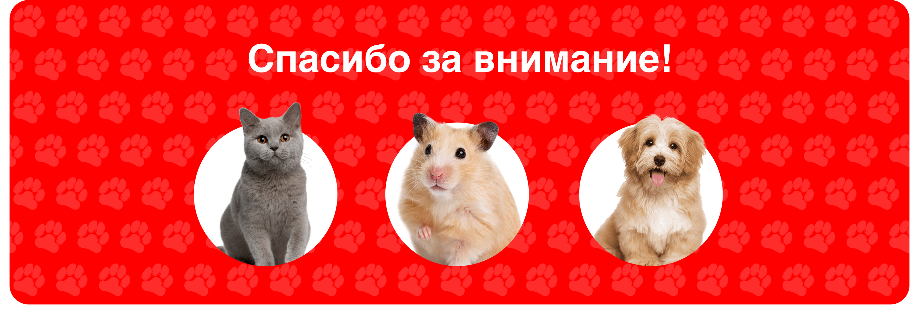 ZOOMAGAZIN | Разработка логотипа — Изображение №6 — Брендинг, Иллюстрация на Dprofile