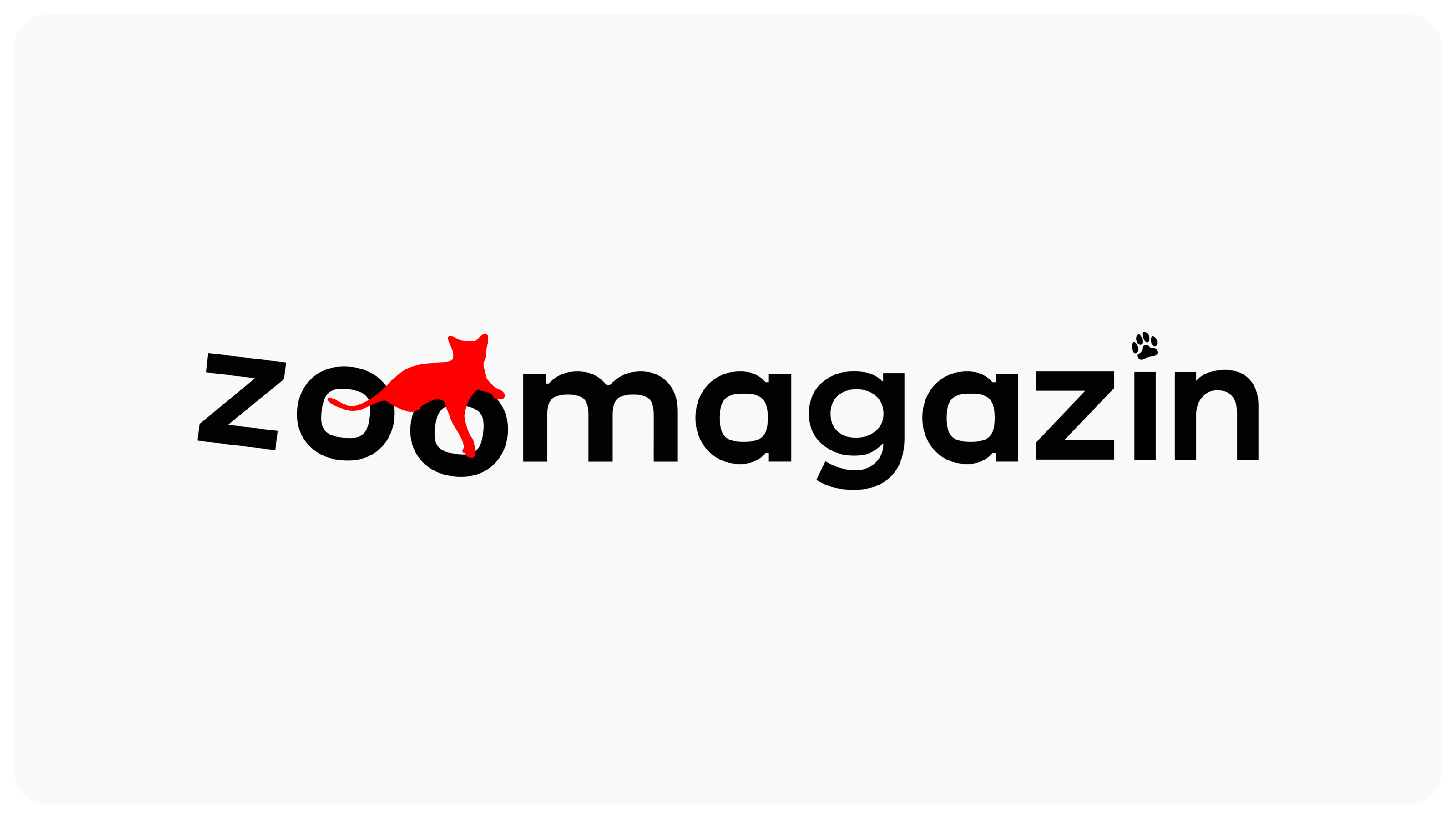 ZOOMAGAZIN | Разработка логотипа — Изображение №2 — Брендинг, Иллюстрация на Dprofile