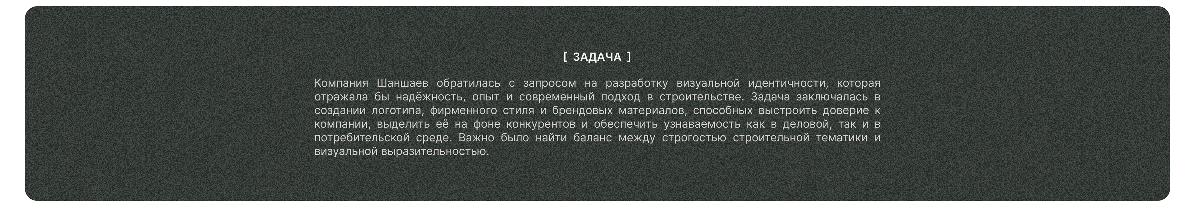 Shanshaev | Брендинг и корпоративный сайт — Изображение №2 — Интерфейсы, Брендинг на Dprofile