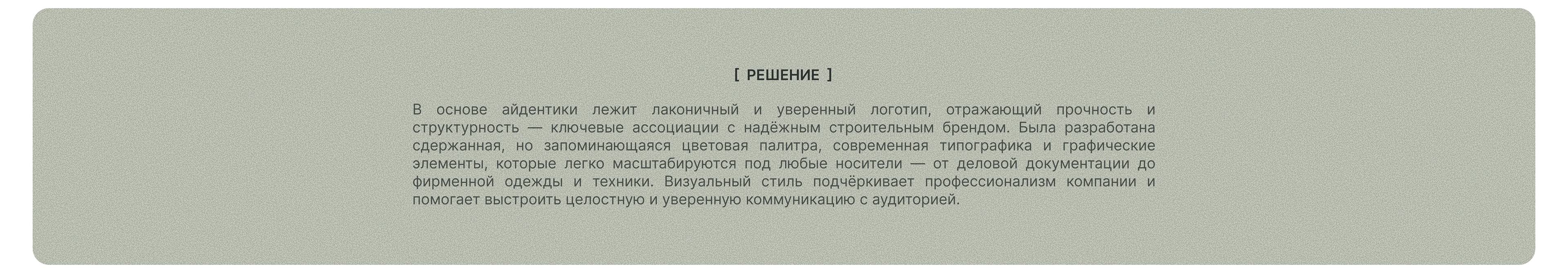 Shanshaev | Брендинг и корпоративный сайт — Изображение №6 — Интерфейсы, Брендинг на Dprofile