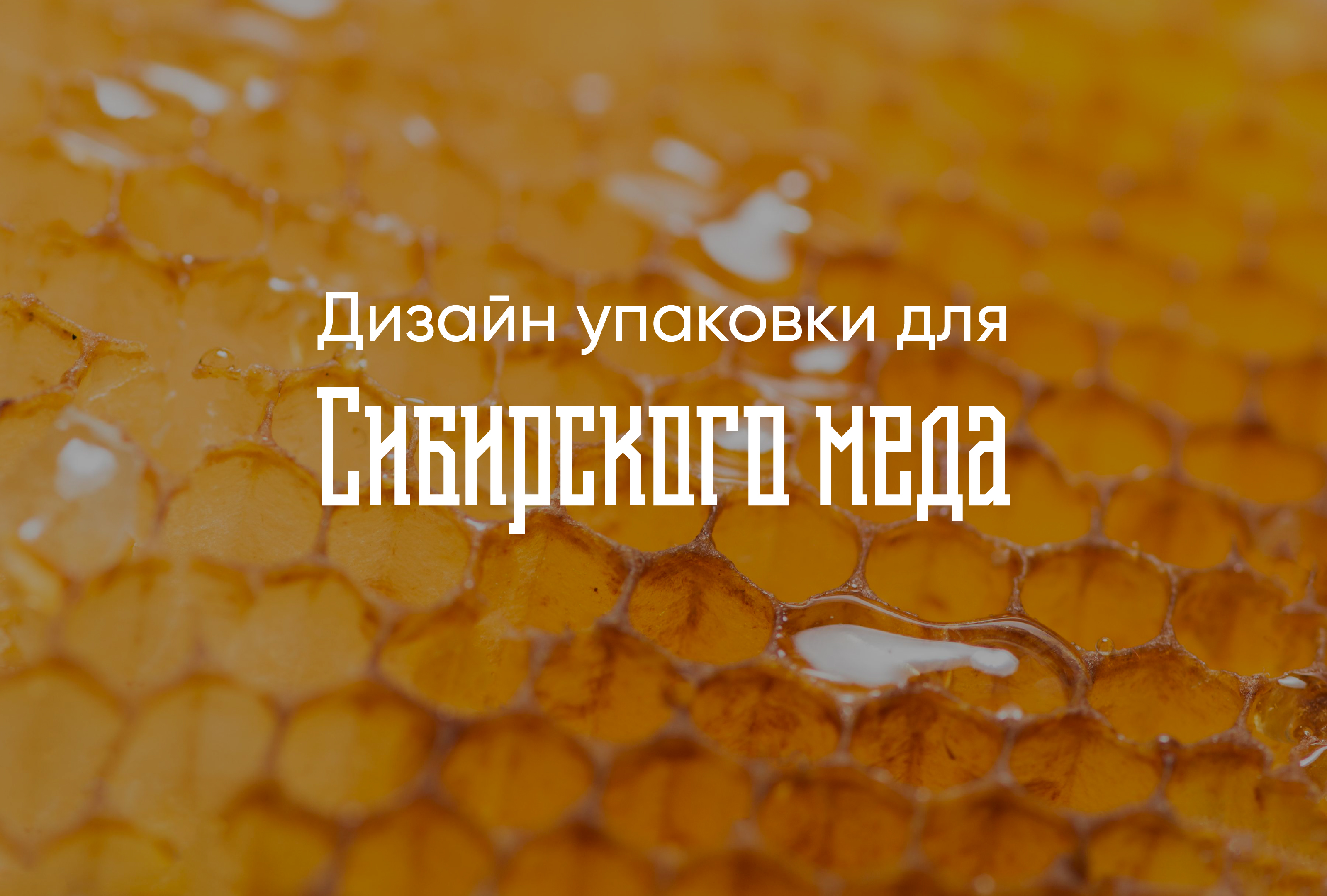 Дизайн упаковки для сибирского мёда — Изображение №1 — Брендинг на Dprofile