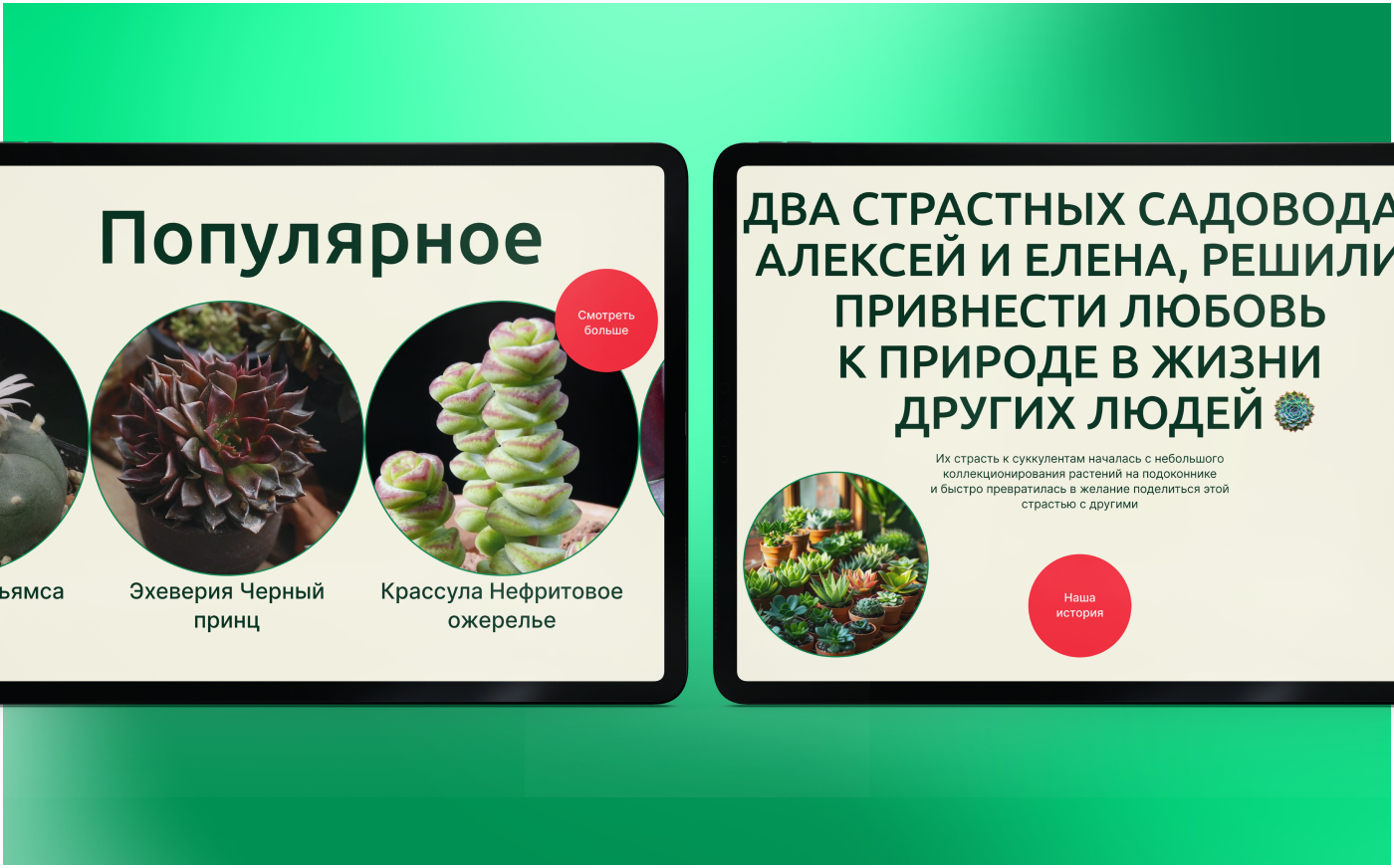 Сочный Оазис | Дизайн сайта — Изображение №7 — Интерфейсы на Dprofile